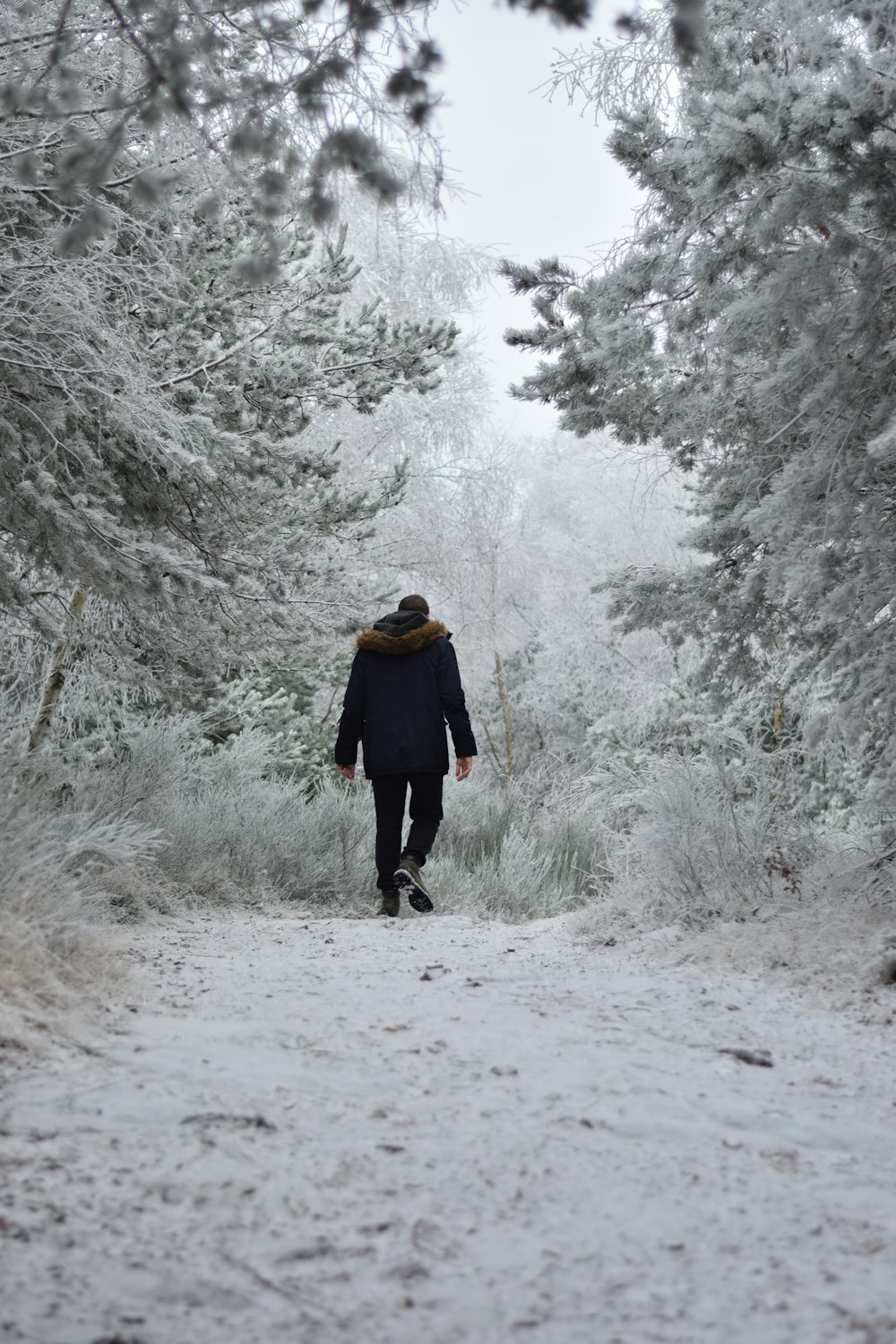 a person walking down a snowy path in the woods