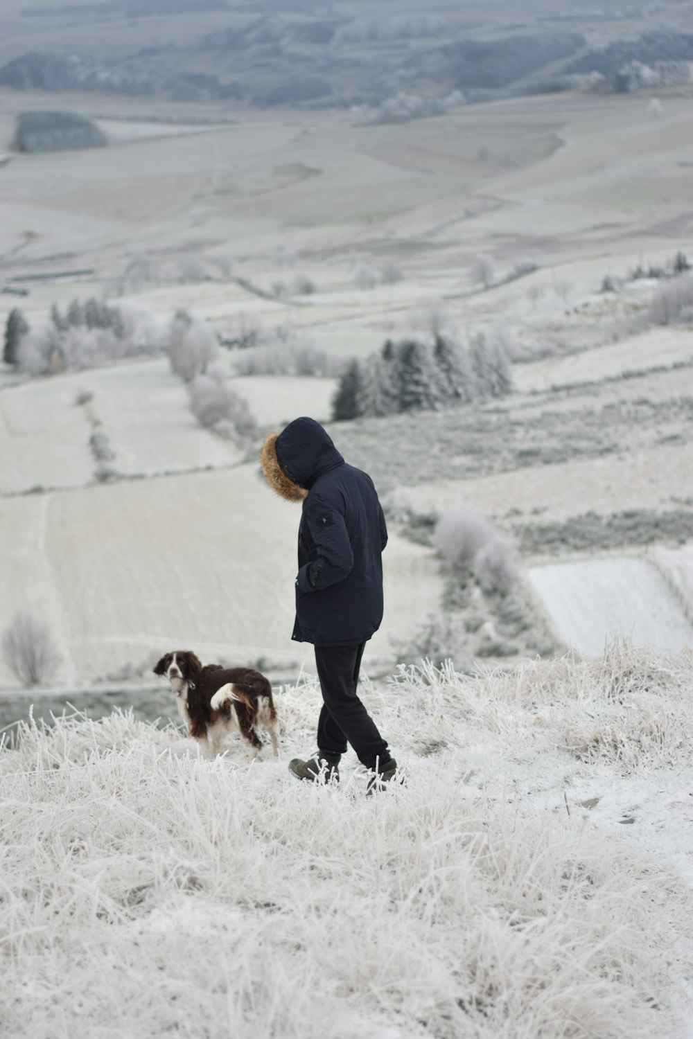 a person walking a dog in a snowy field