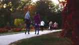 A family walking together on a leafy Rotterdam park trail during autumn.