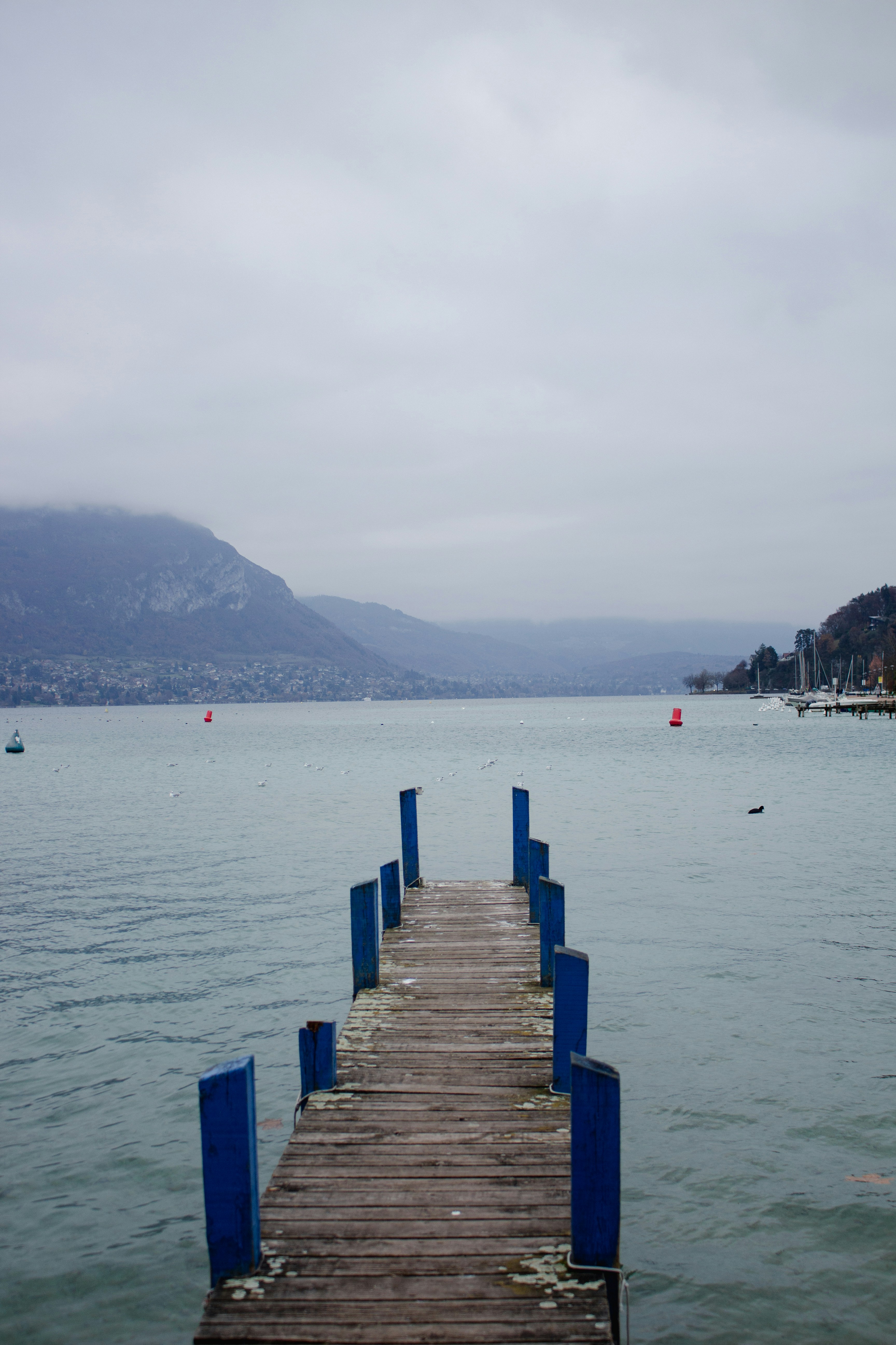 水域の真ん中にある木製のドック