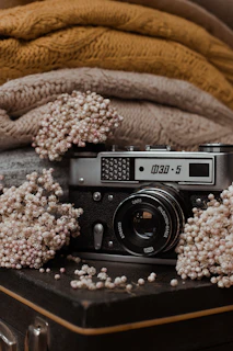 Creative still life composition with vintage props and textured backgrounds.