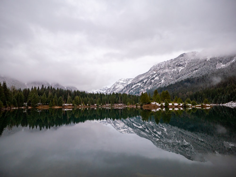 a body of water surrounded by mountains and trees