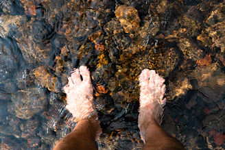 an image from the Eno River highlighting water quality in central North Carolina