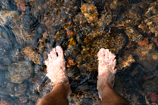 an image from the Eno River highlighting water quality in central North Carolina