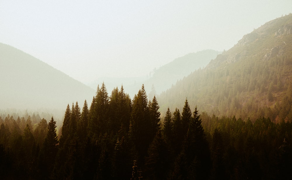 a view of a mountain range with trees in the foreground