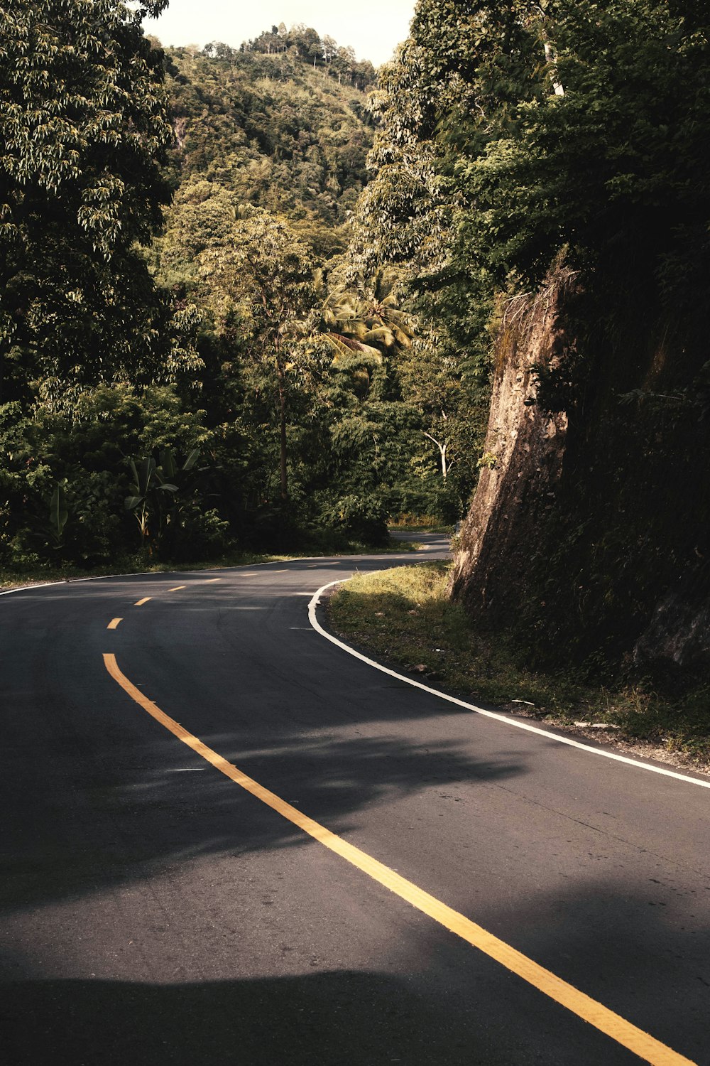 a curved road in the middle of a forest