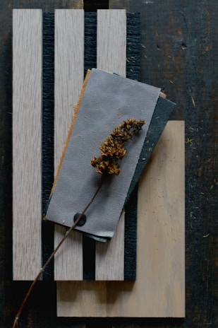 An artistic arrangement of various materials highlighting their textures.