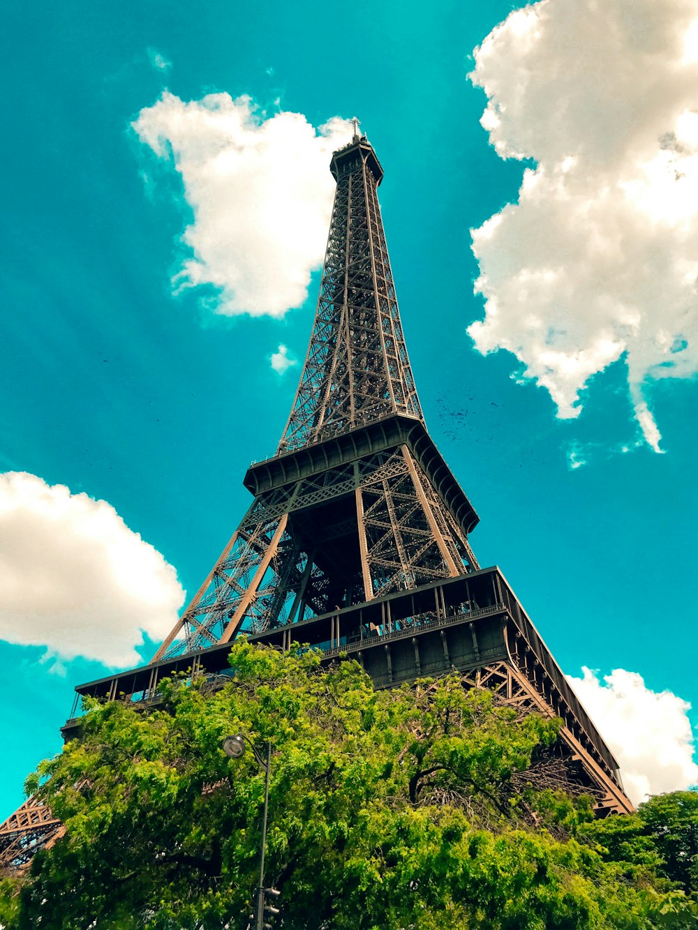 the eiffel tower towering over the city of paris