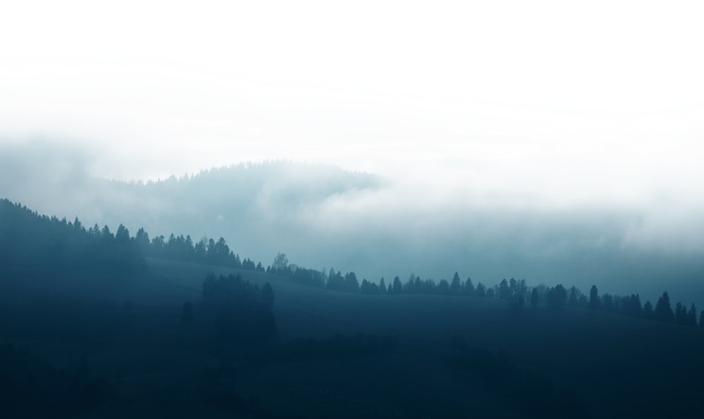 a foggy mountain with trees on the side of it