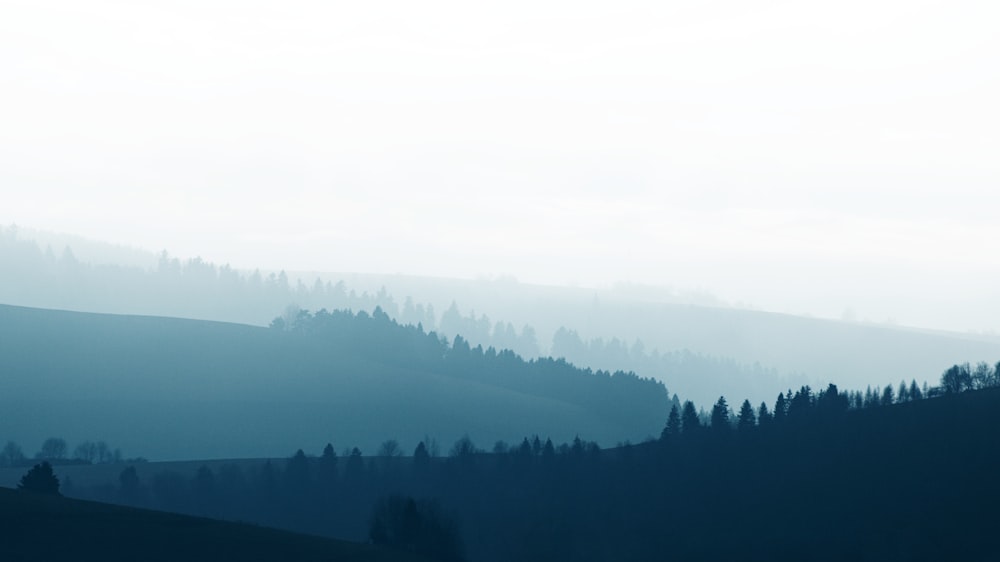 a foggy landscape with trees and hills in the distance