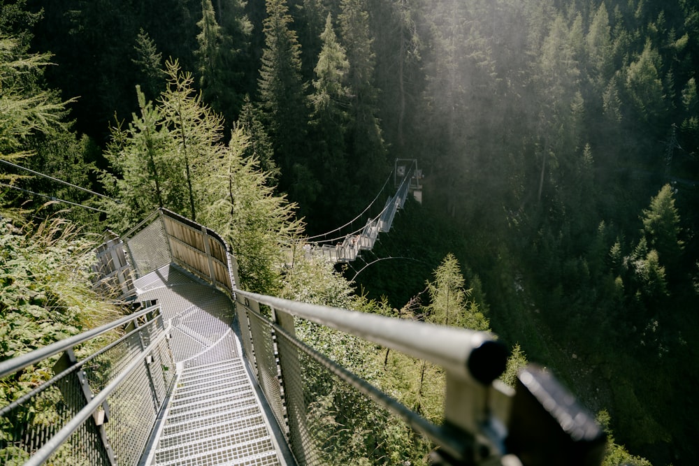 a view of a walkway in the middle of a forest