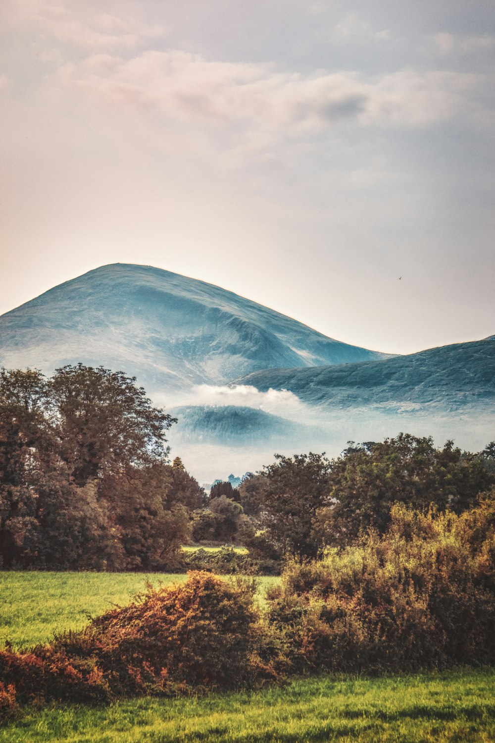 a green field with trees and a mountain in the background