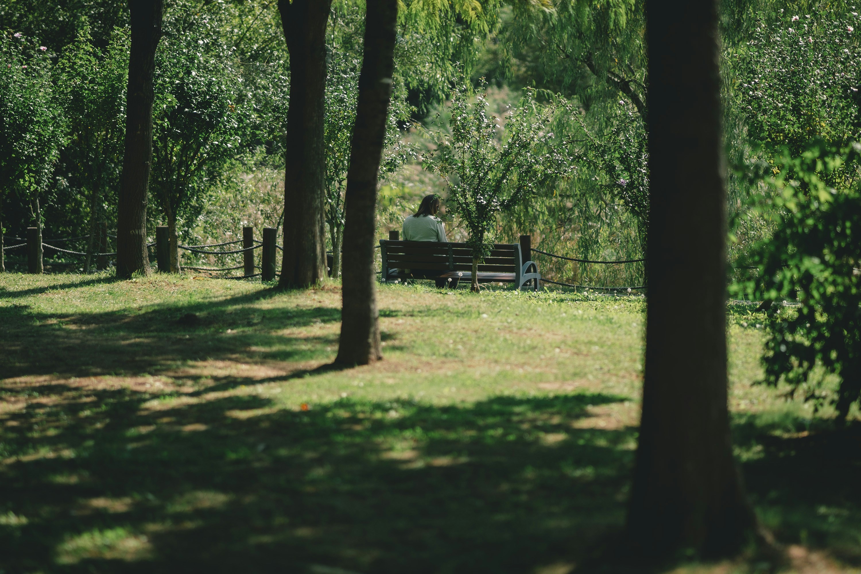 Photo by forest_bros