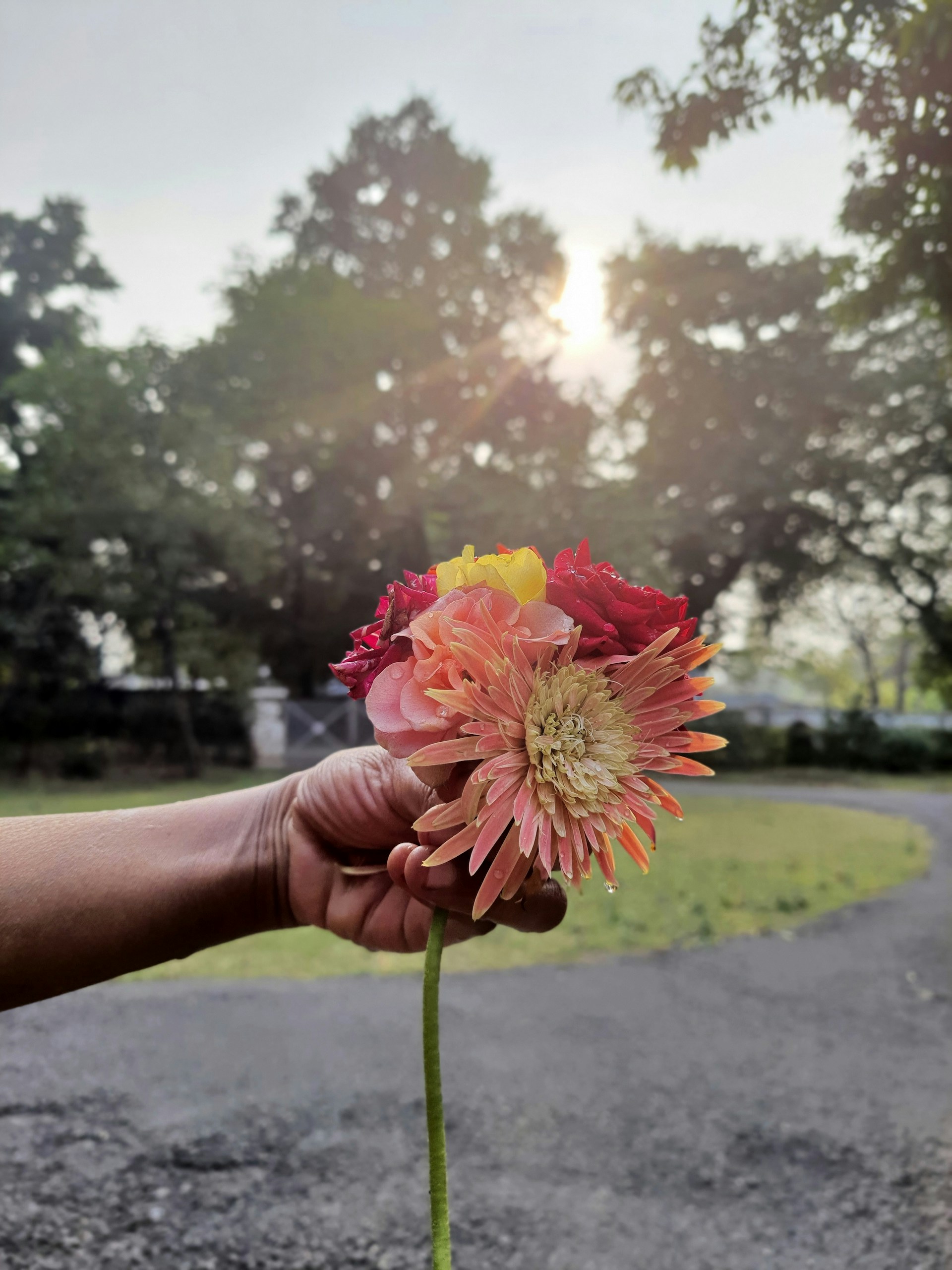 a person holding a flower in their hand