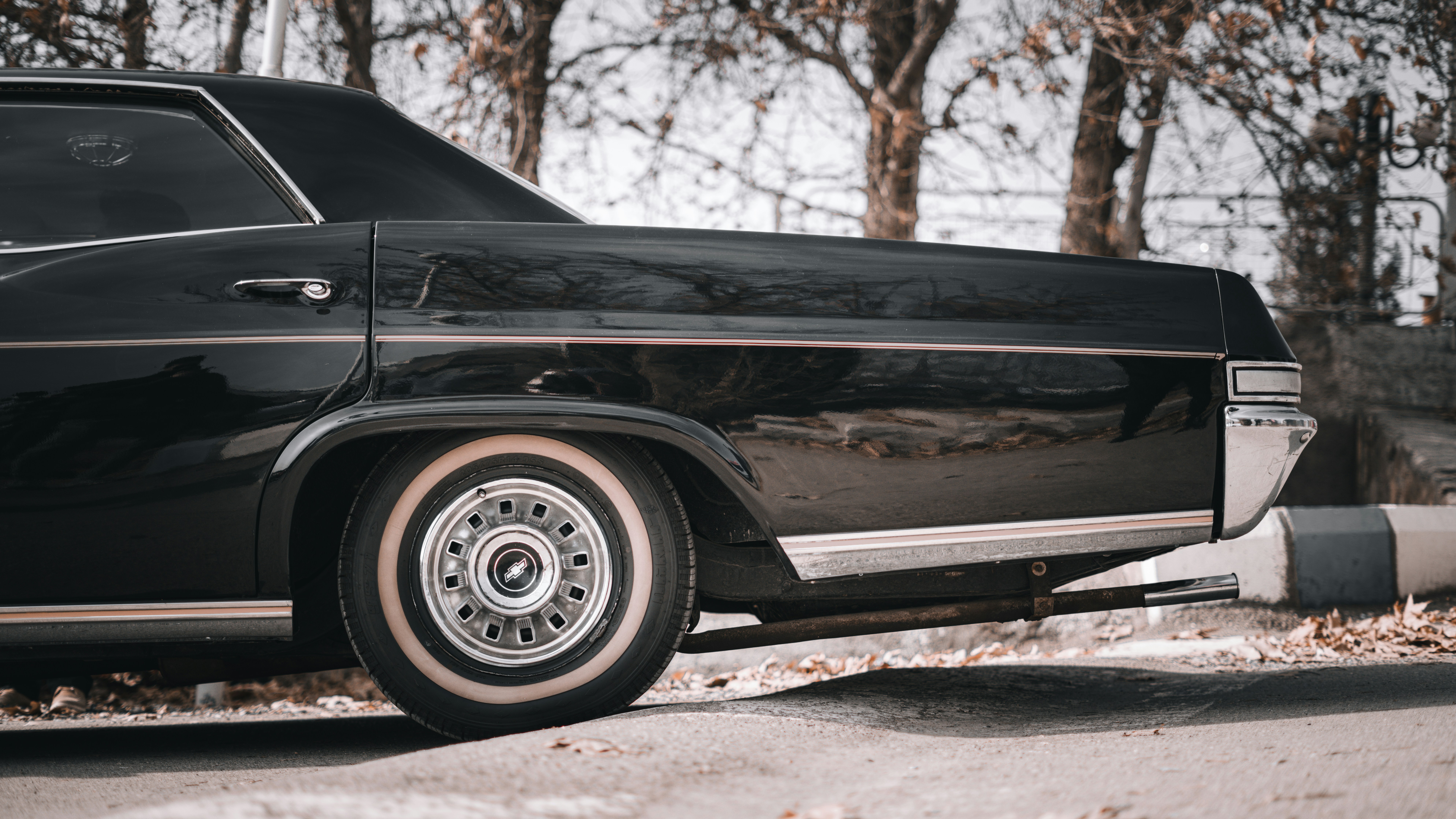 Photo by ardalanhamedani