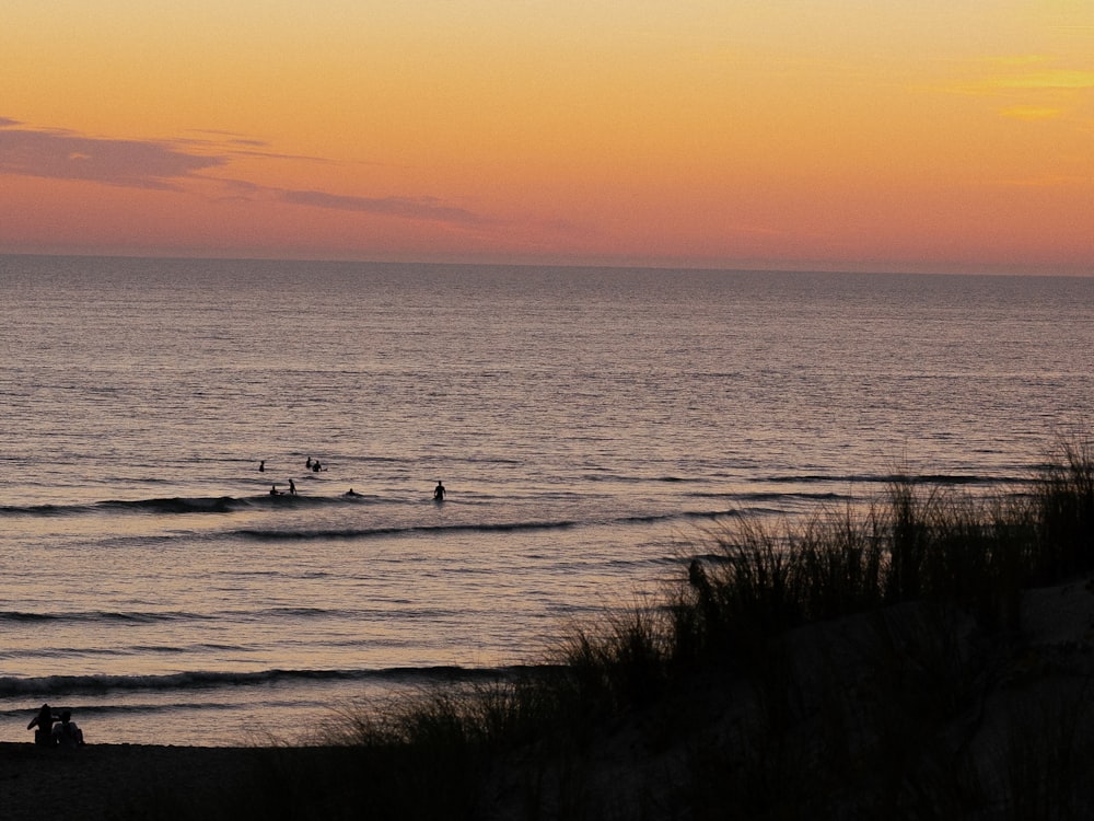 um grupo de pessoas montando pranchas de surf em cima de uma onda