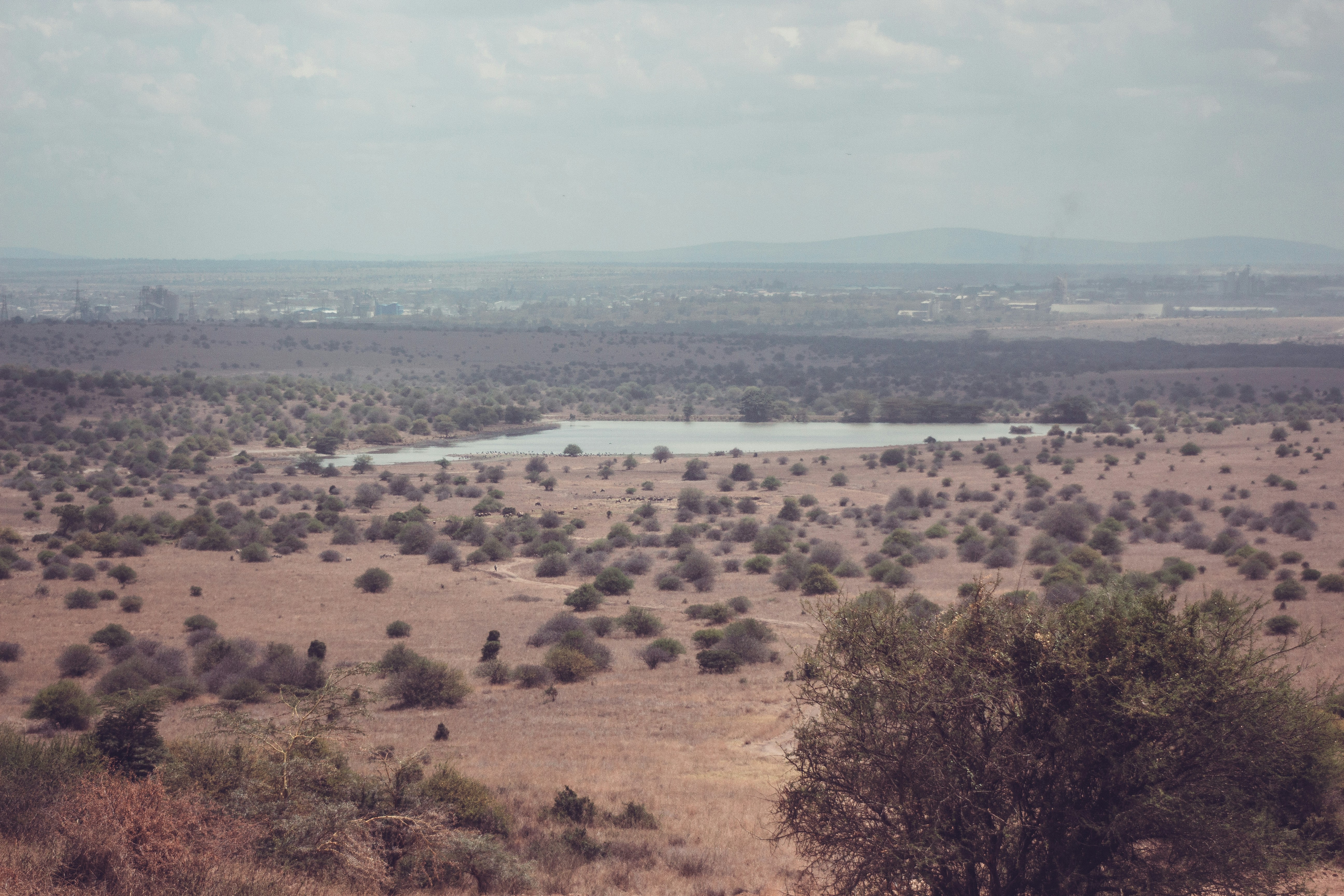 중간에 호수가있는 넓은 들판