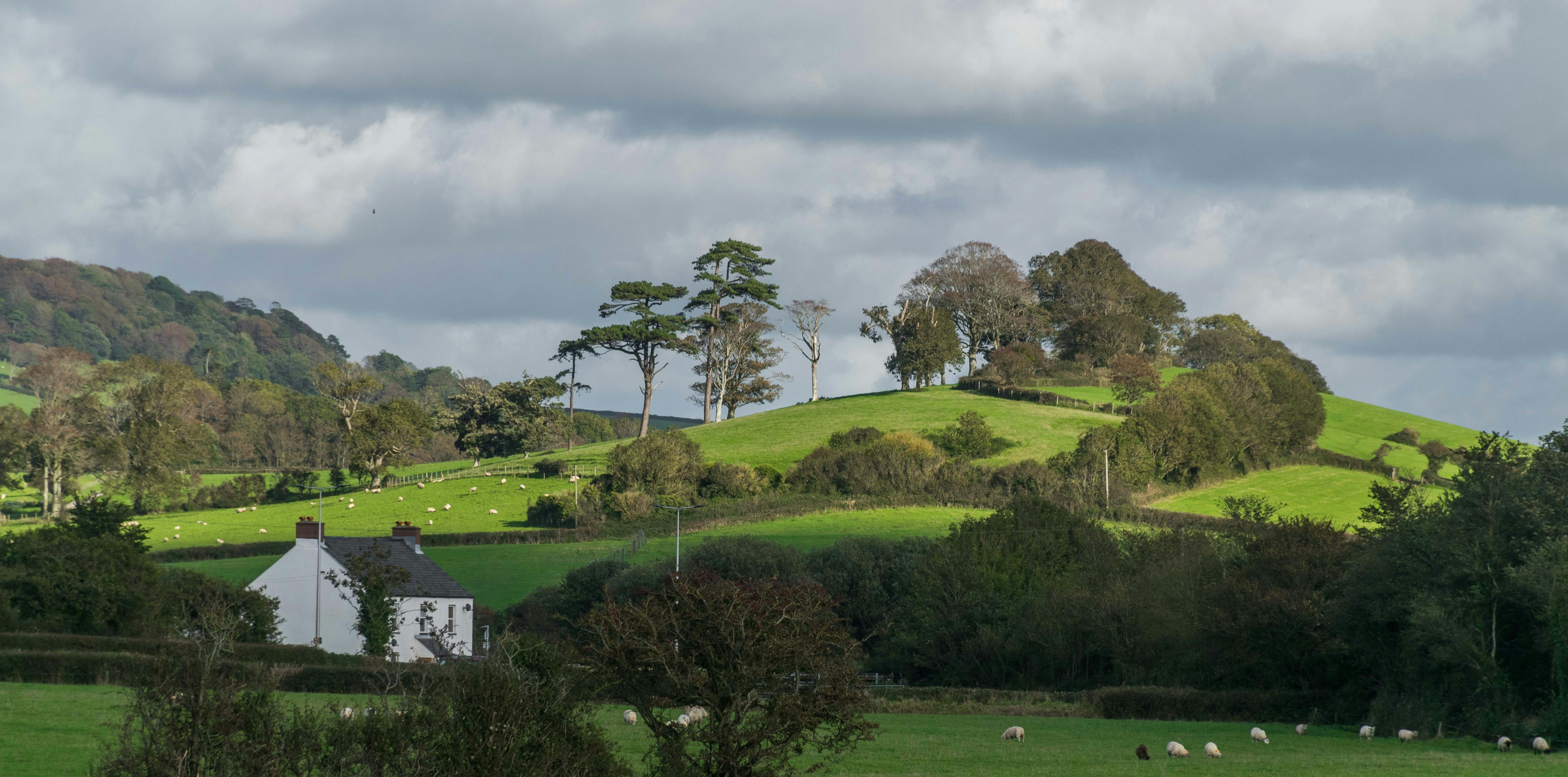 a white house sitting on top of a lush green hillside