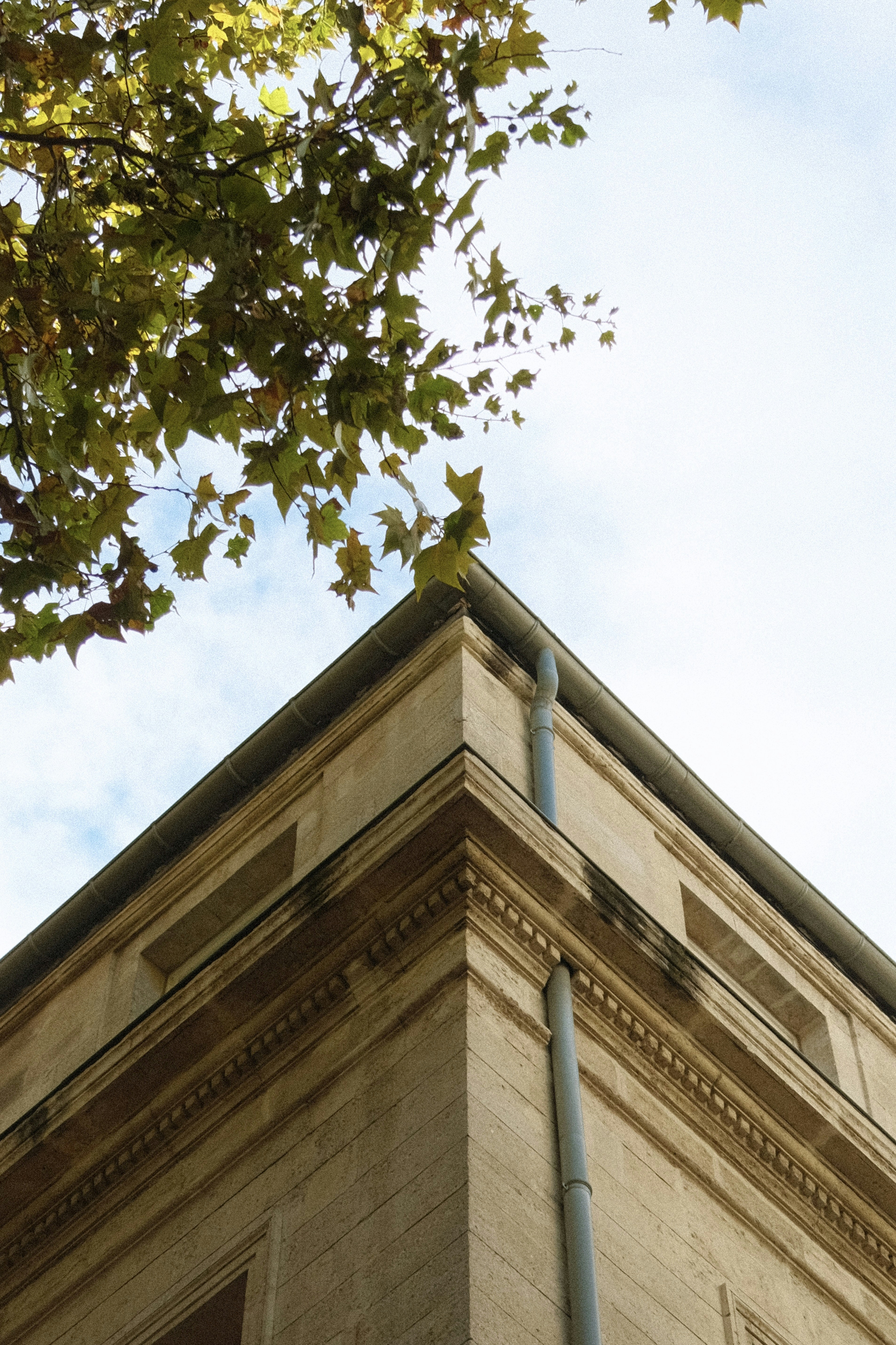 Photo by hugodouchet