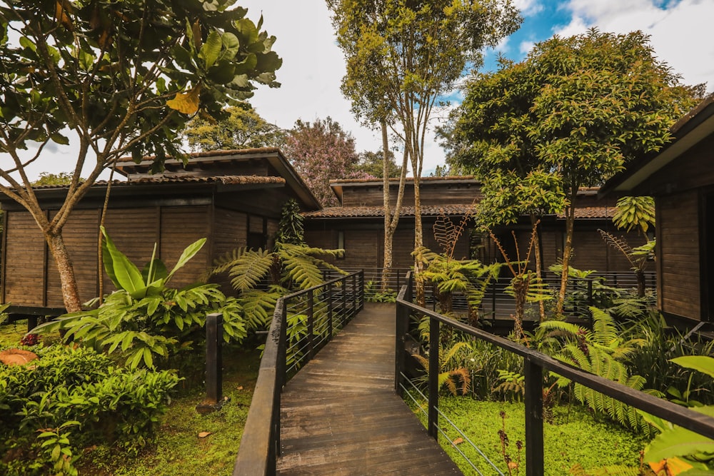 a walkway leading to a building in a tropical setting