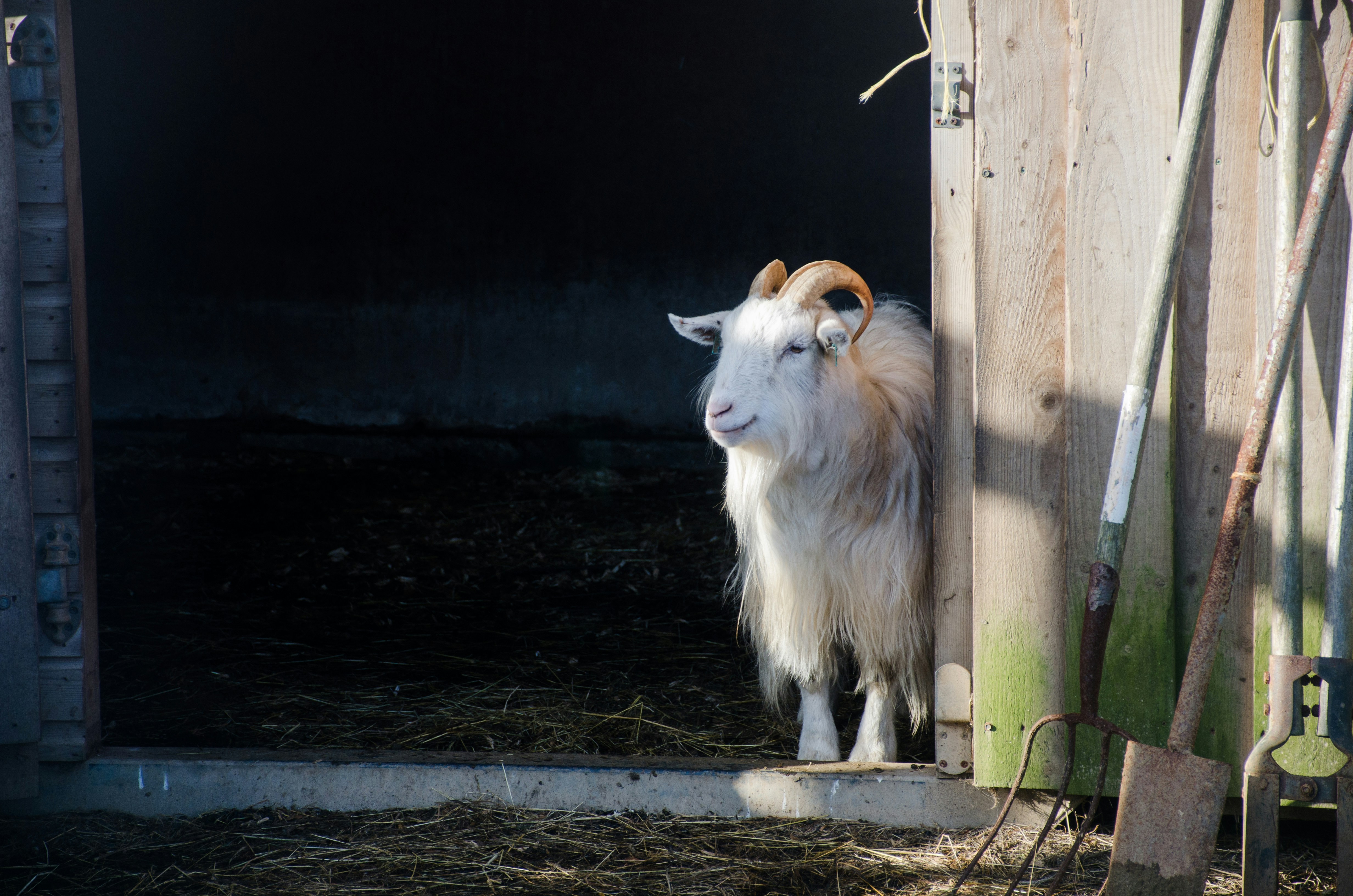 A photo being edited by AI with UK elements