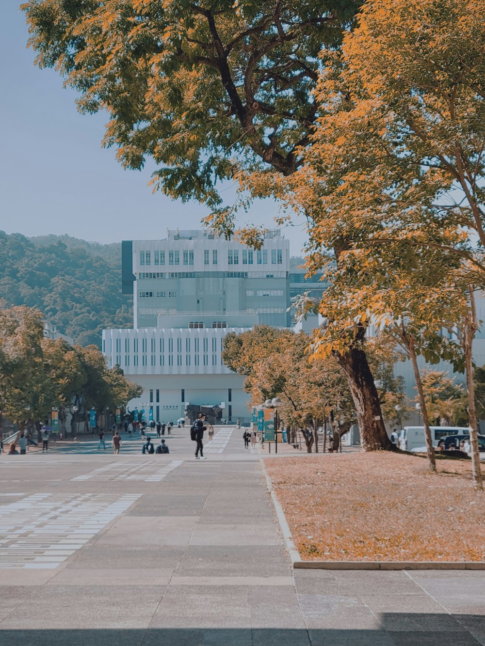 a group of people walking down a street next to trees