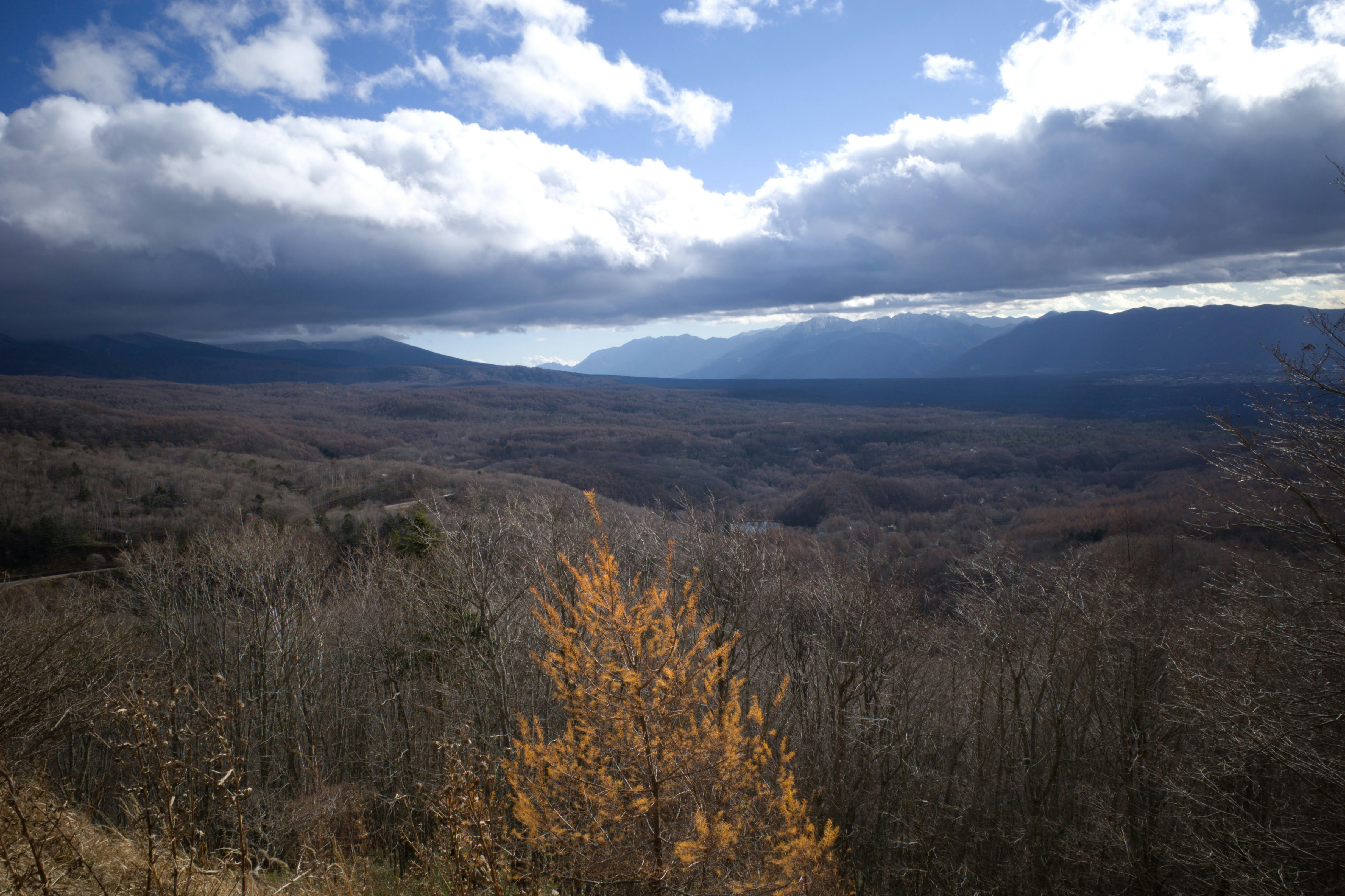 Photo by hotakasaito