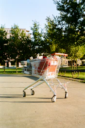 A lightweight folding shopping trolley loaded with fresh groceries on a garden path.