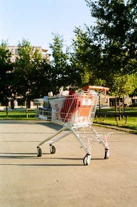 A shopping cart filled with various items, including bags and possibly groceries, is situated on a paved path in a park-like setting. Tall trees with lush green leaves and a building partially visible in the background create a serene environment. The sunlight casts long shadows, adding a warm hue to the scene.