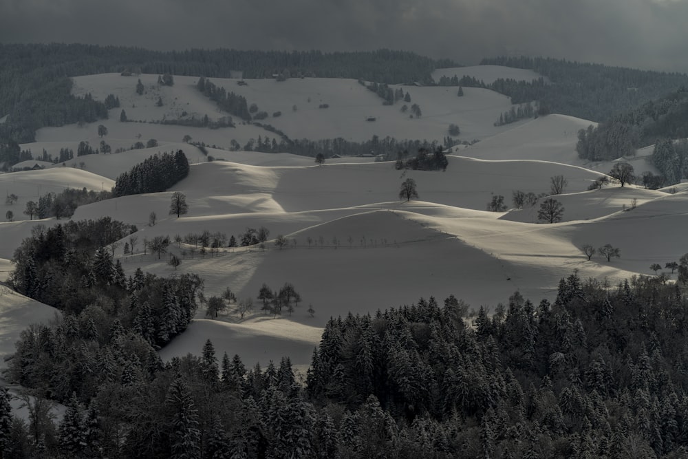 a snowy landscape with trees and mountains in the background