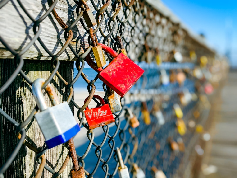 a bunch of padlocks attached to a fence