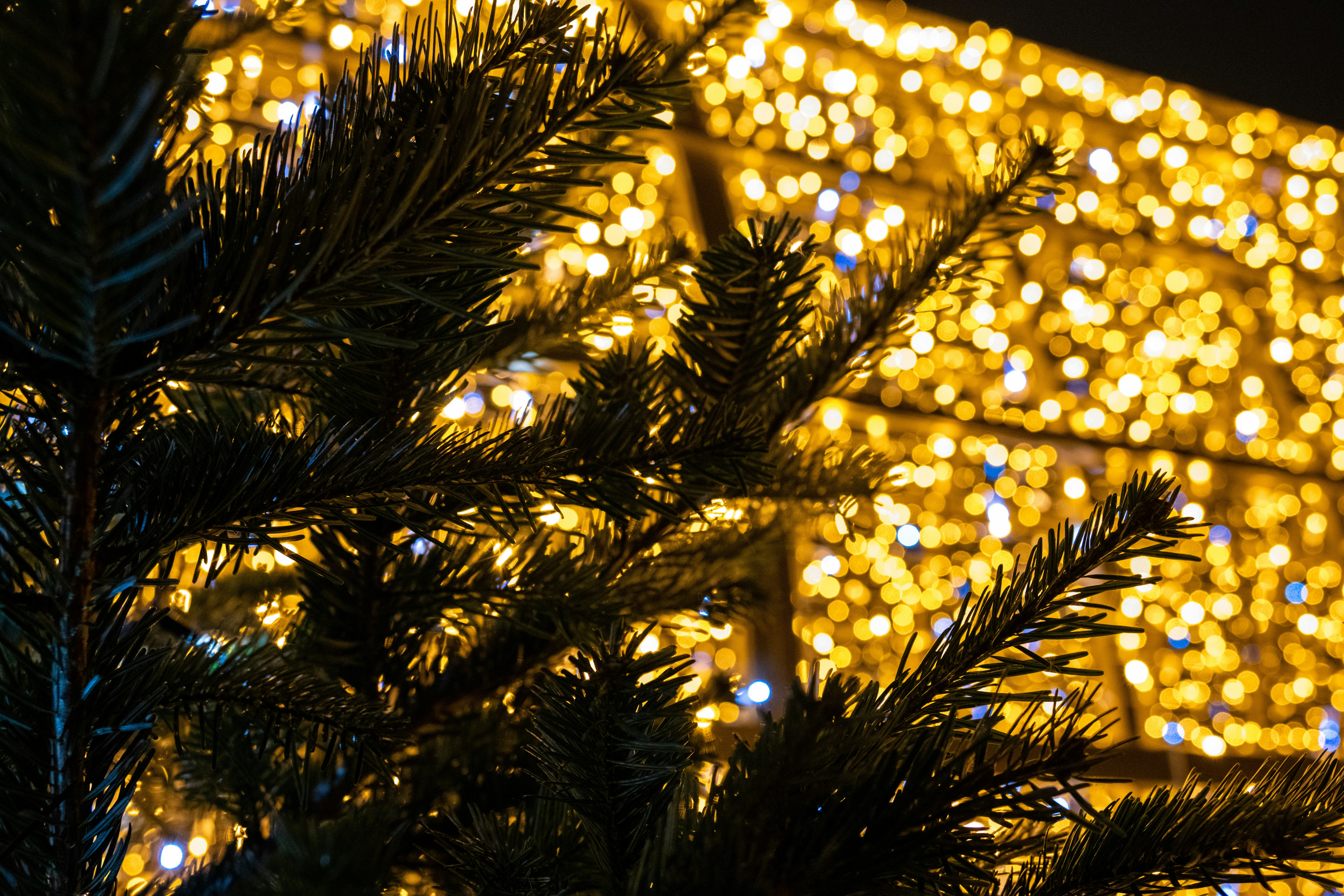 Photo by gabor_koszegi