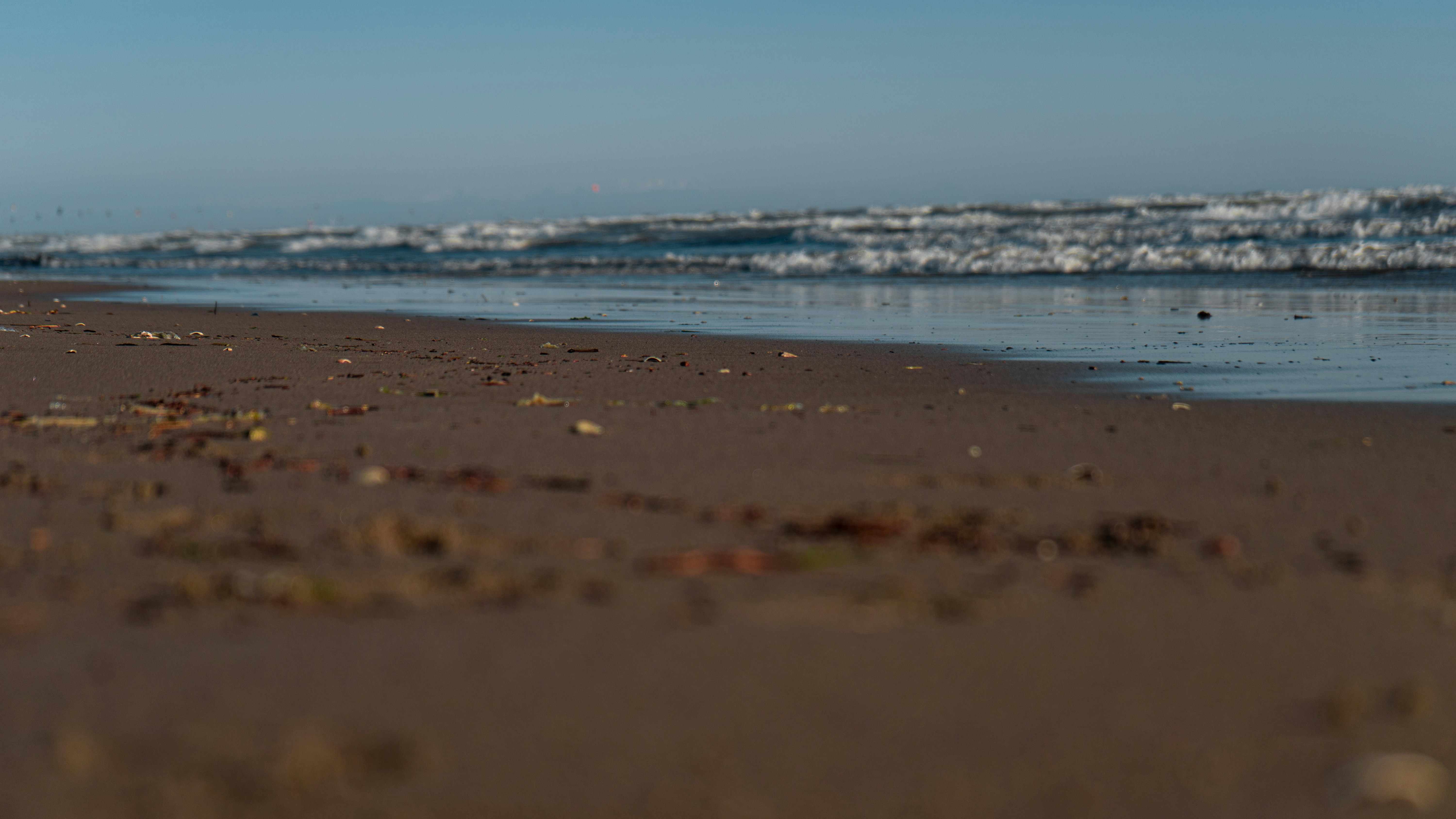 Photo by alexander_carsten