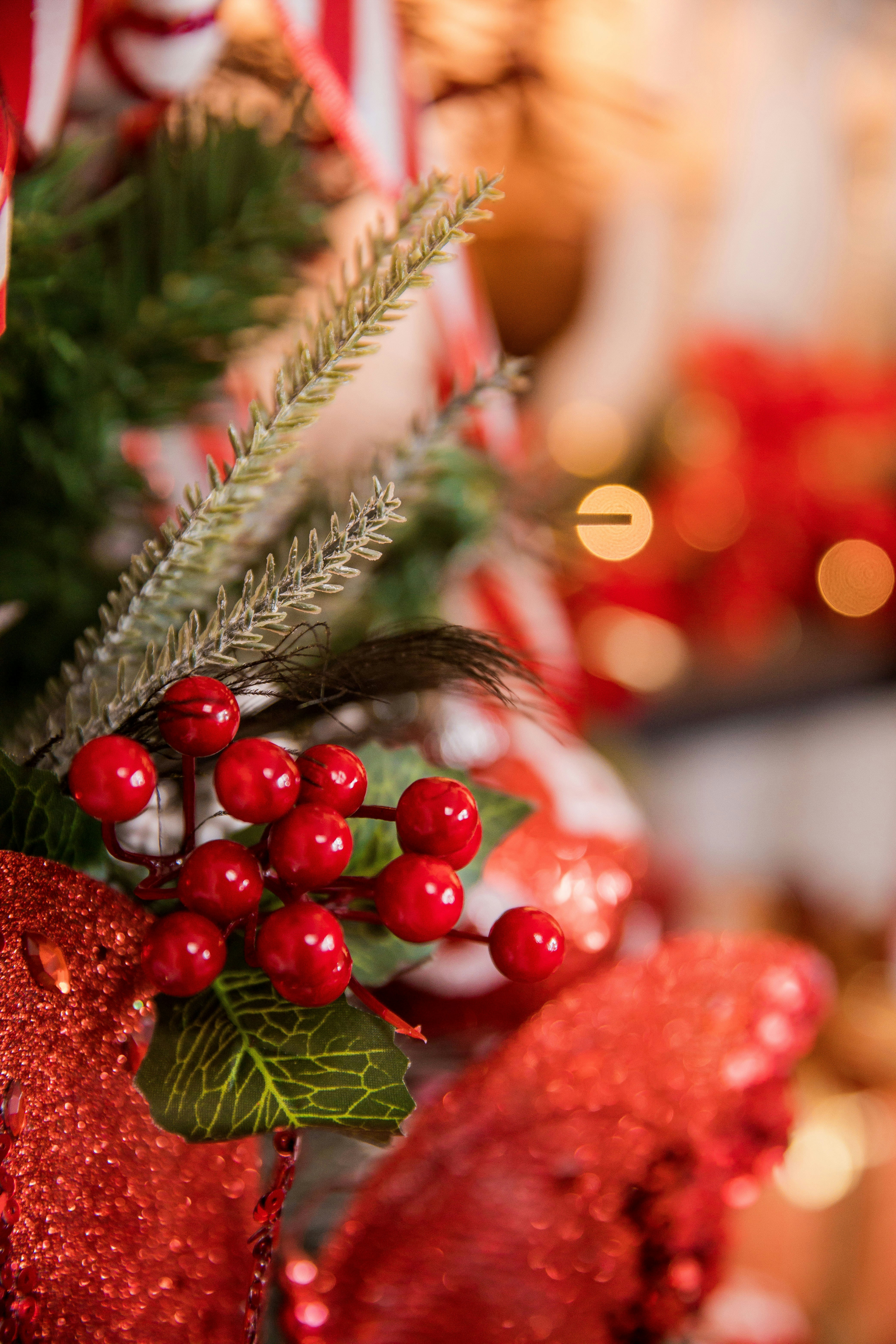 Photo by juniorreisfoto