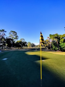 A golf course fairway extends under a clear blue sky. A checkerboard-pattern flag is positioned prominently, indicating a hole. Mature trees border the course, casting shadows on the well-maintained green grass.