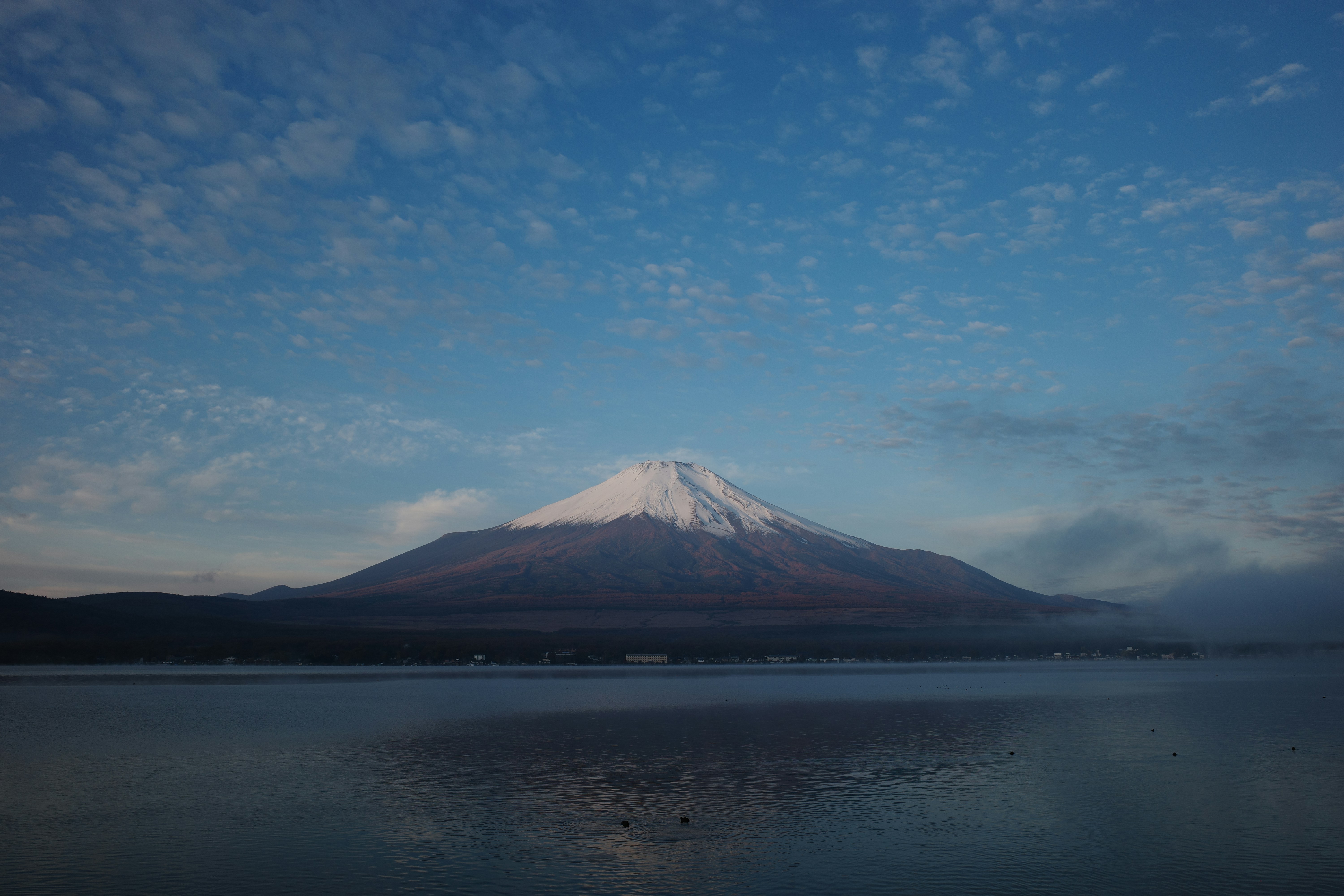 Photo by nakama1999515