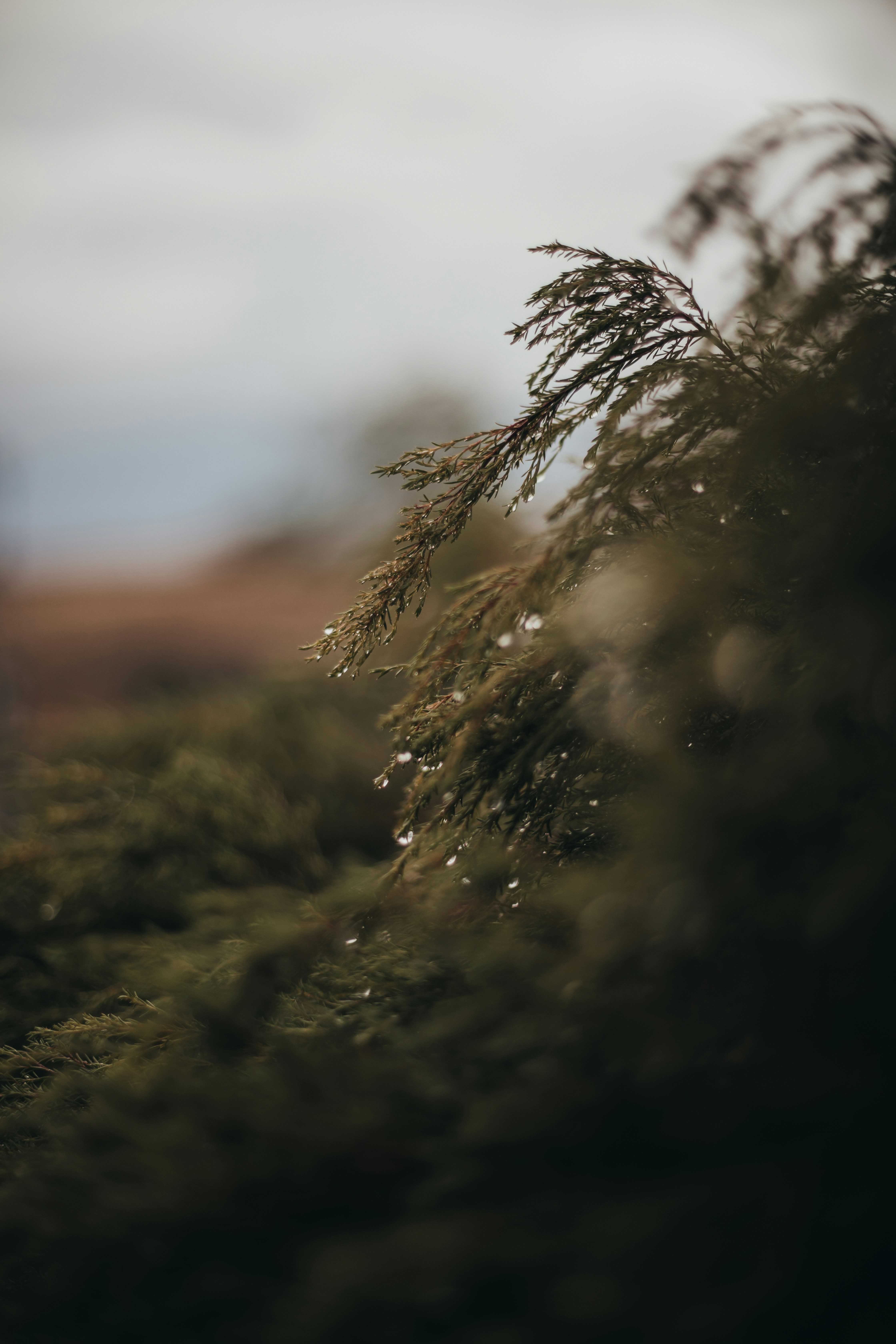 Photo by sixteenmilesout