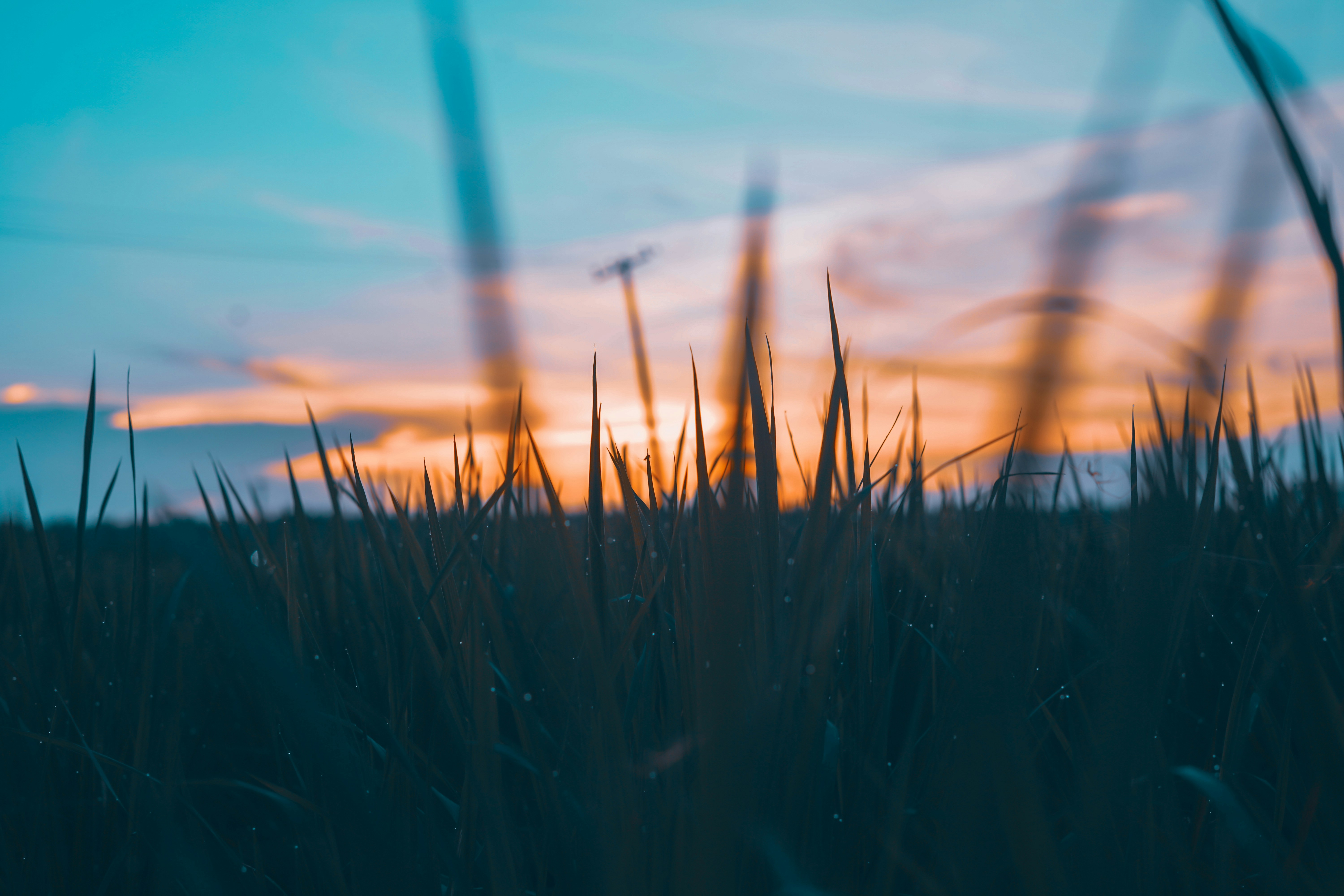 Photo by monishaselv