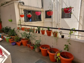 Brightly colored handmade maceteros arranged on a sunlit balcony with trailing greenery.