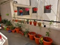 A balcony filled with numerous potted plants of various sizes and colors. There are hanging planters attached to the railing and ceiling, with a variety of plants growing in them. The planters are vibrant, including shades of red, green, and purple. The background shows windows and neutral-colored walls, providing a calm setting.