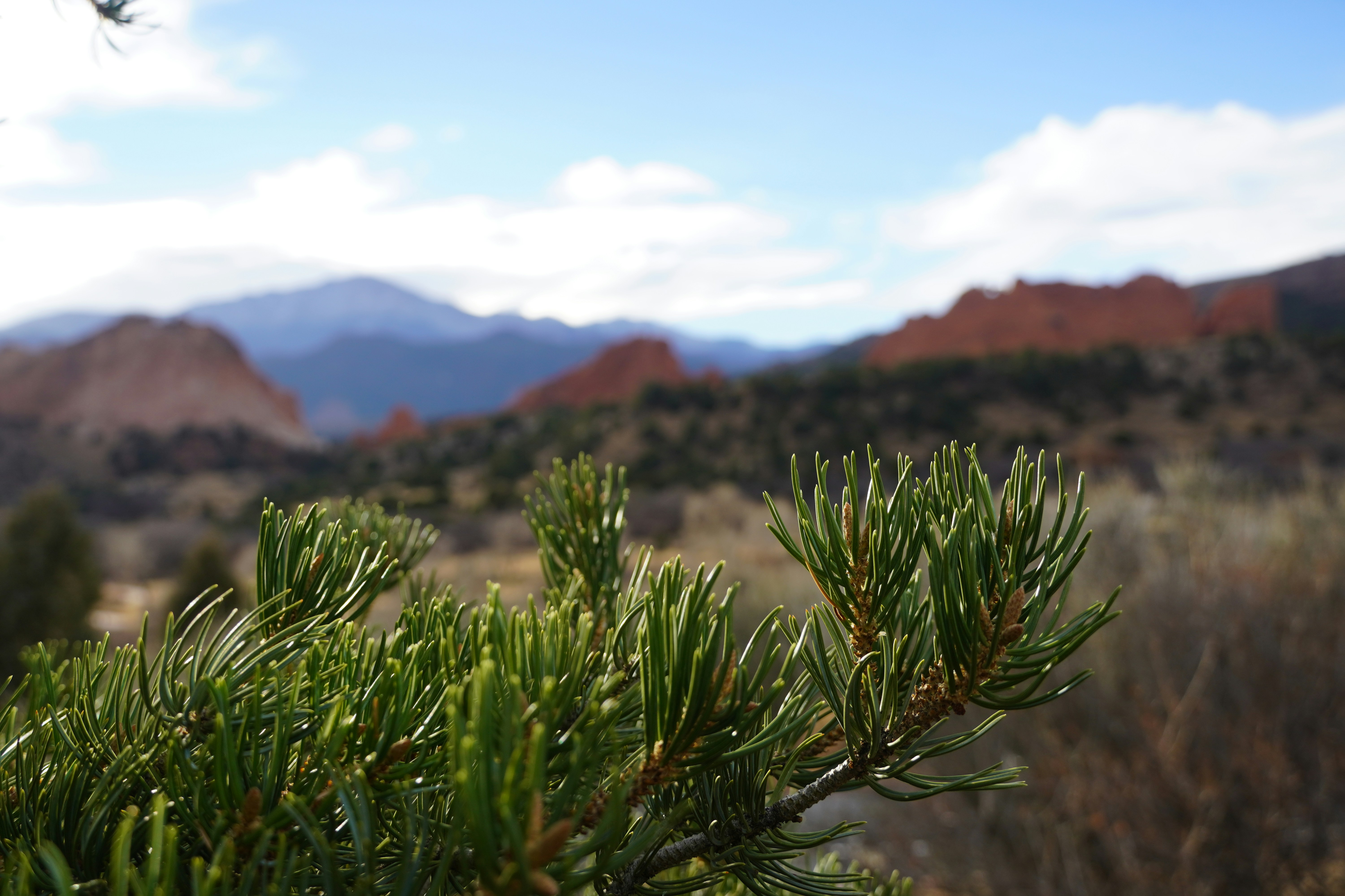 Colorado Springs cityscape