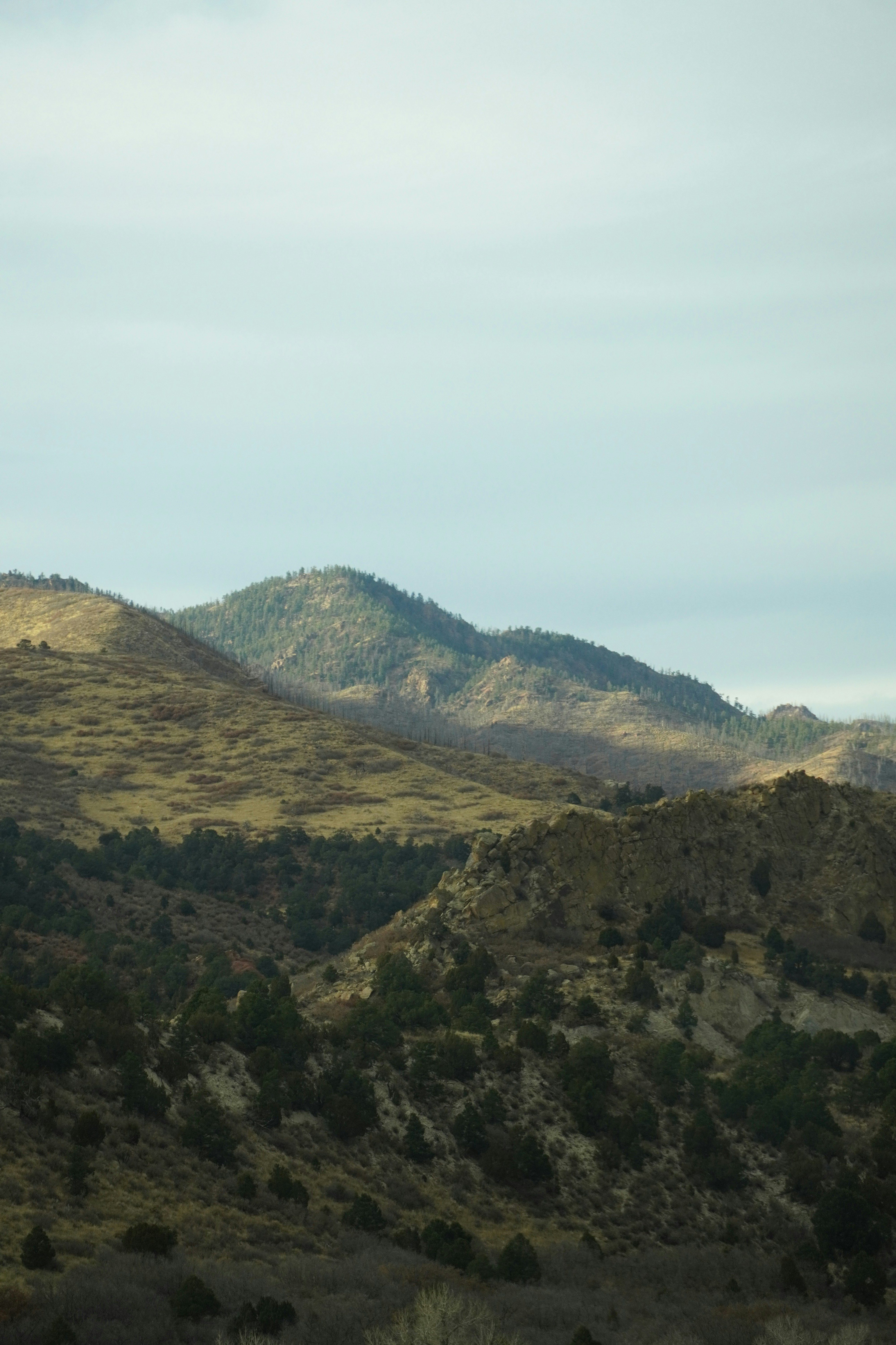 photo-1638199274512-c1adaa14c475?ixid=M3