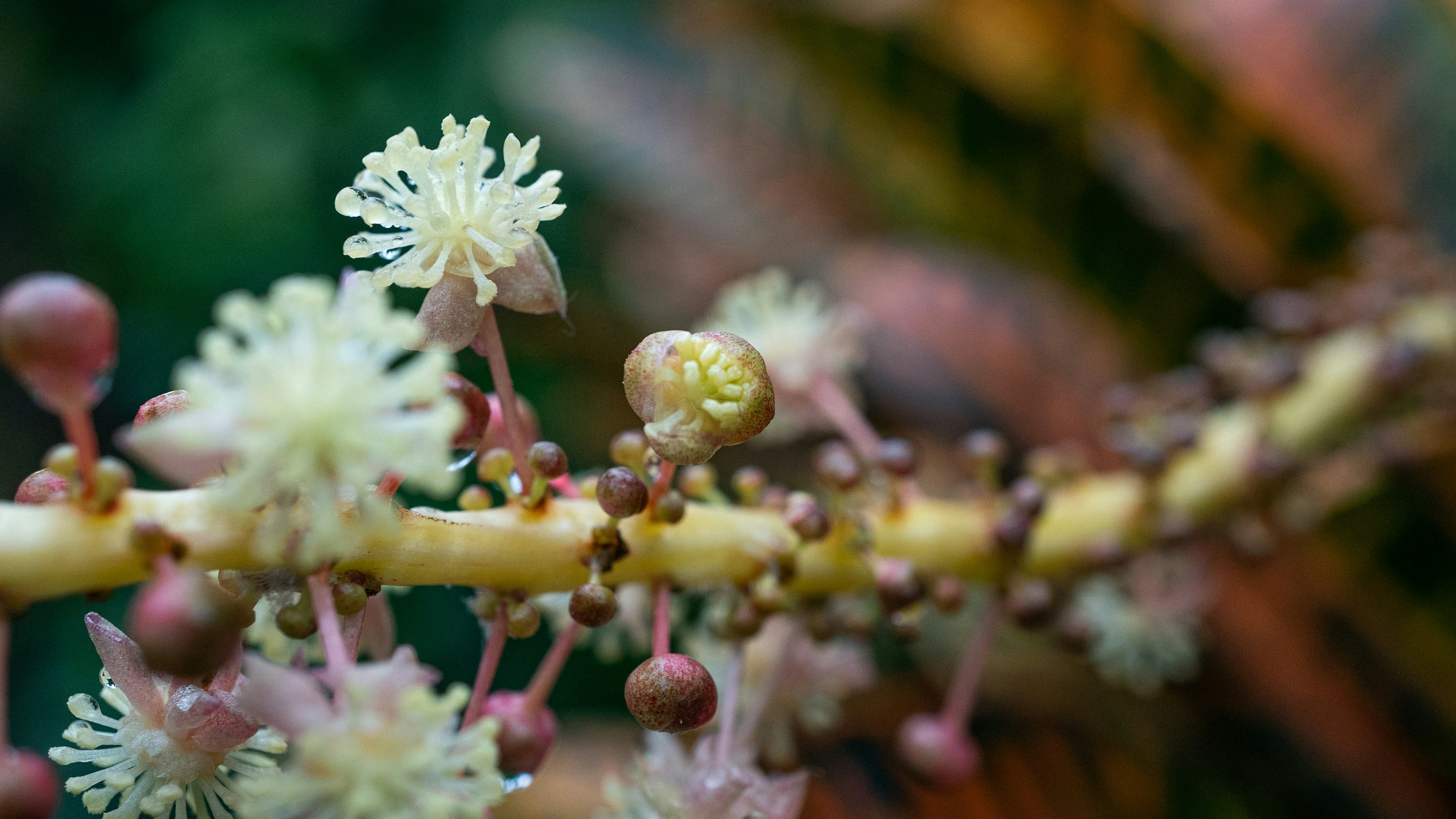 Photo by theo_aartsma