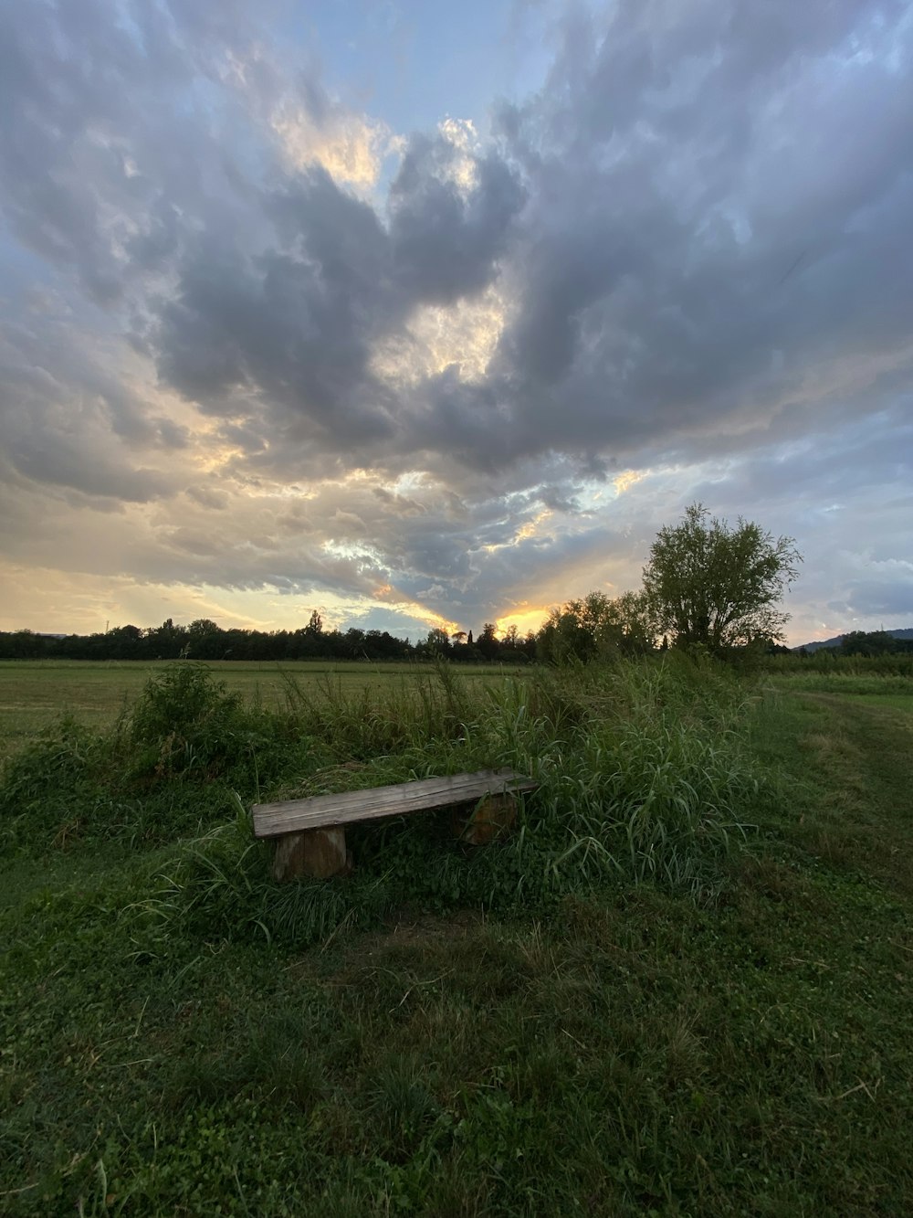 a bench sitting in the middle of a lush green field