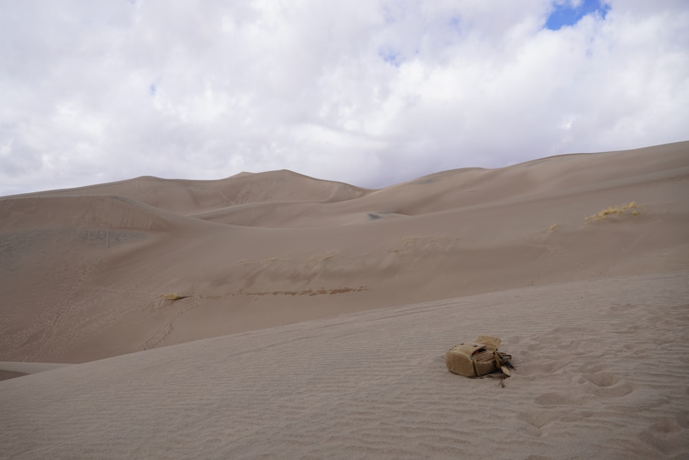 사막 한가운데에 앉아있는 여행 가방