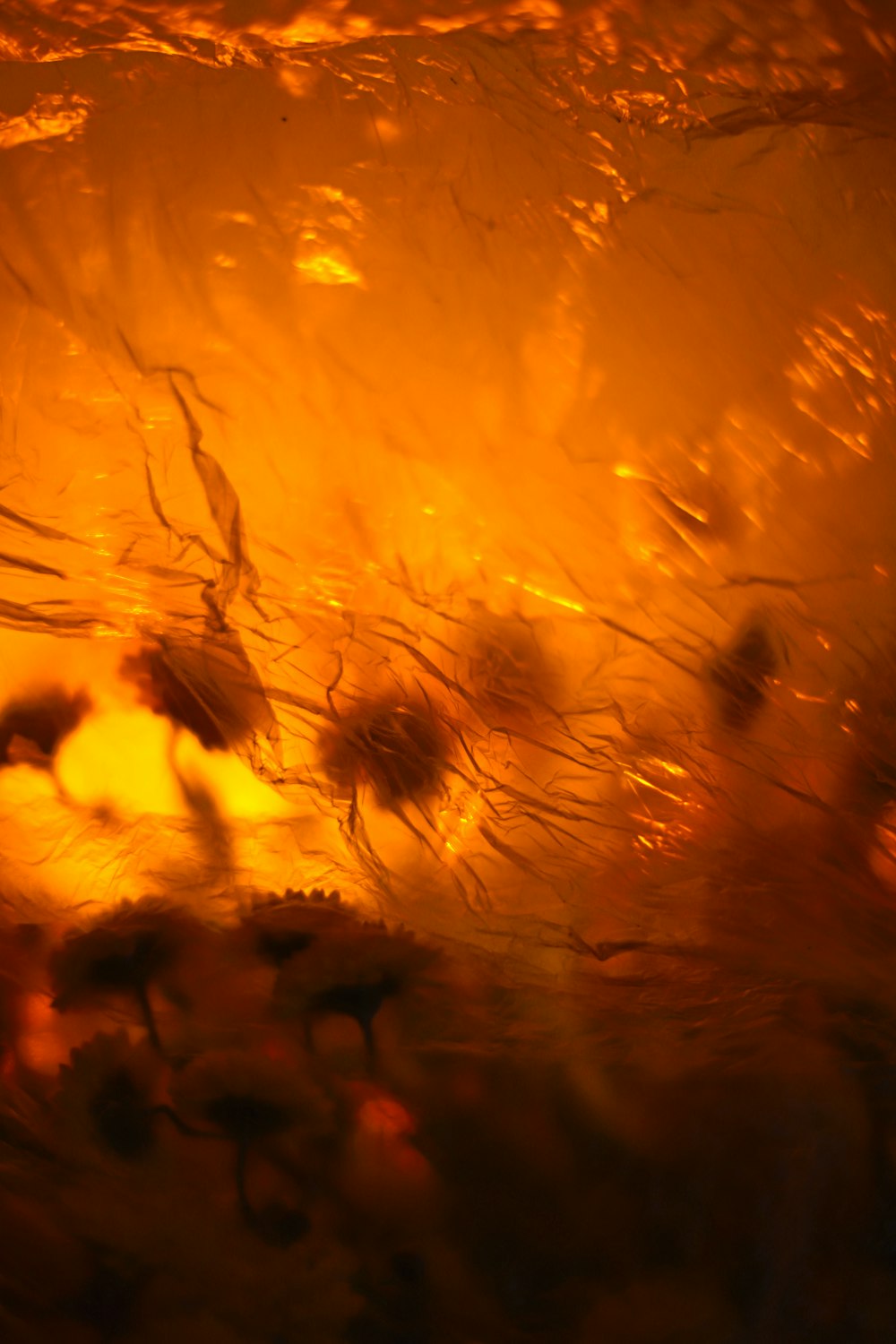 uma imagem borrada de um incêndio com um ramo de flores
