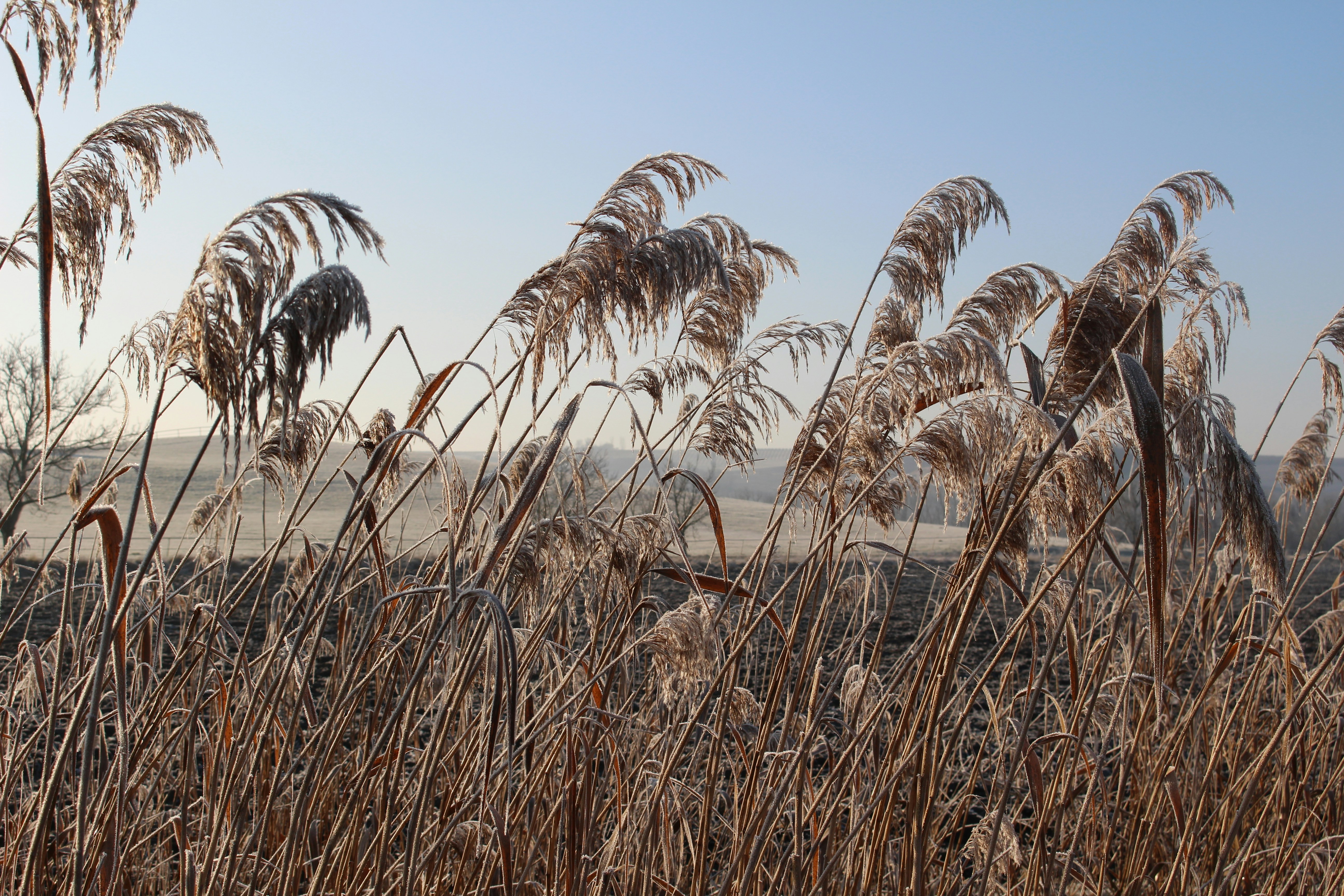 Photo by marjorylucabaxter