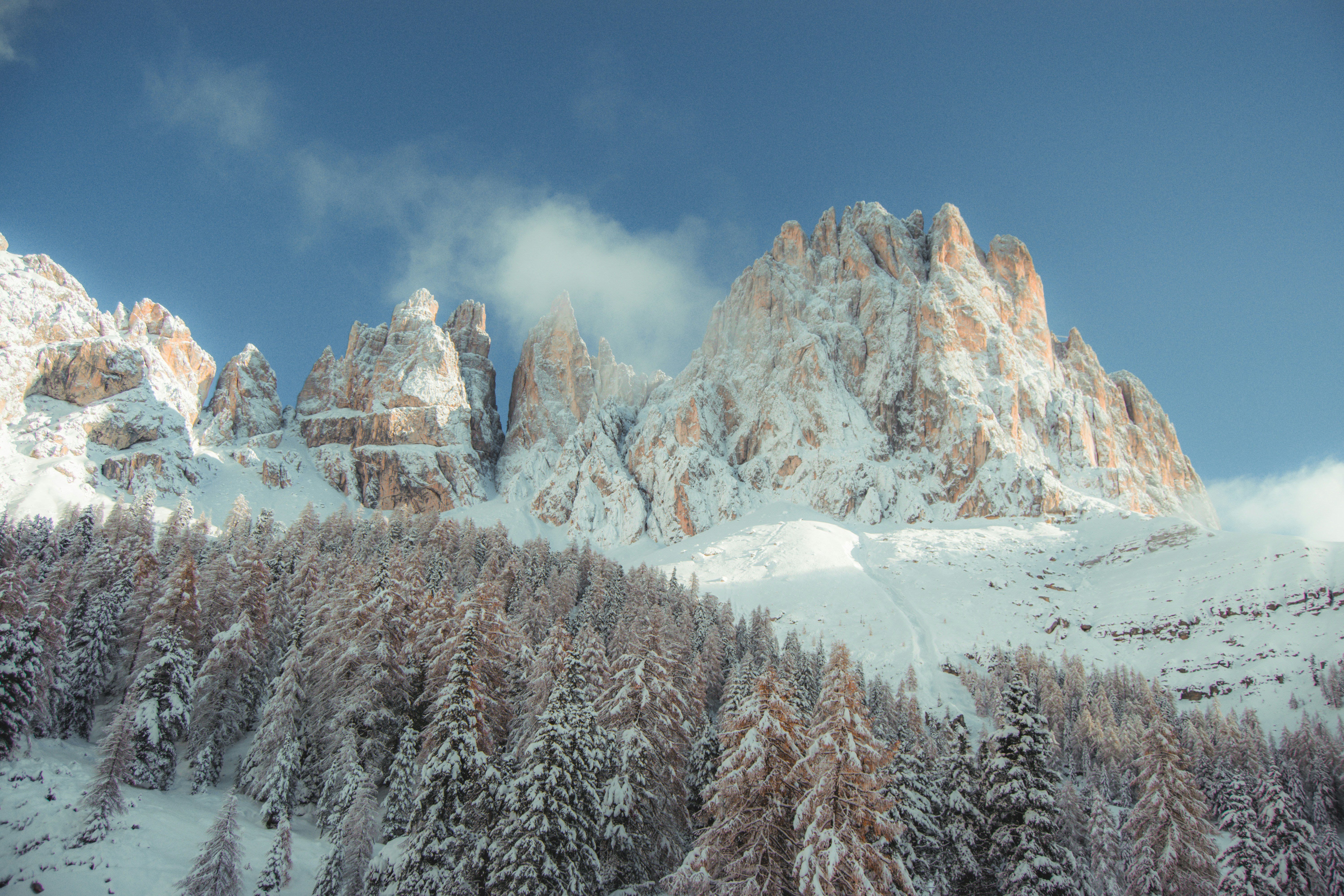 Featured image of post awesome-llm-apps