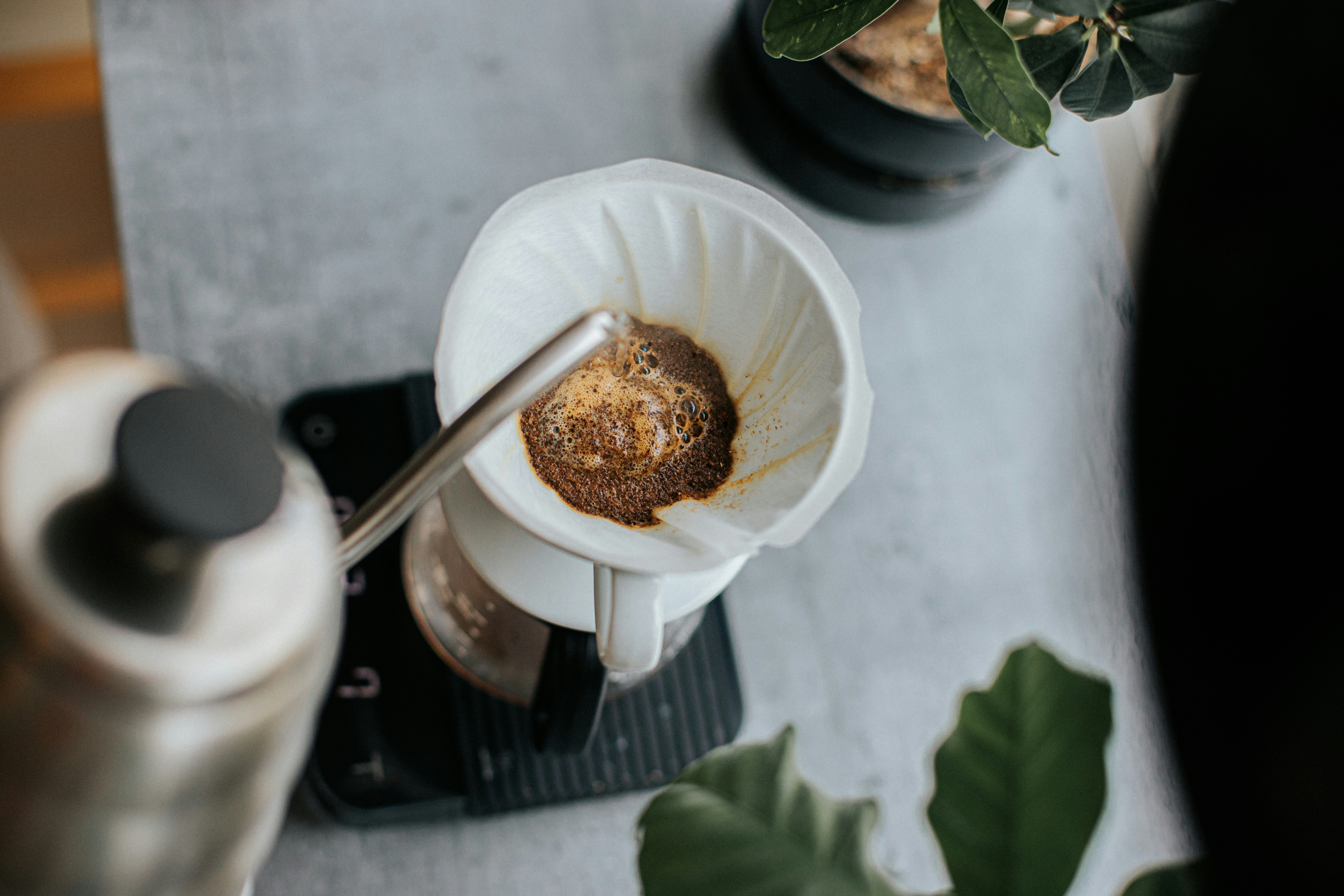 Photo by szymon_satora