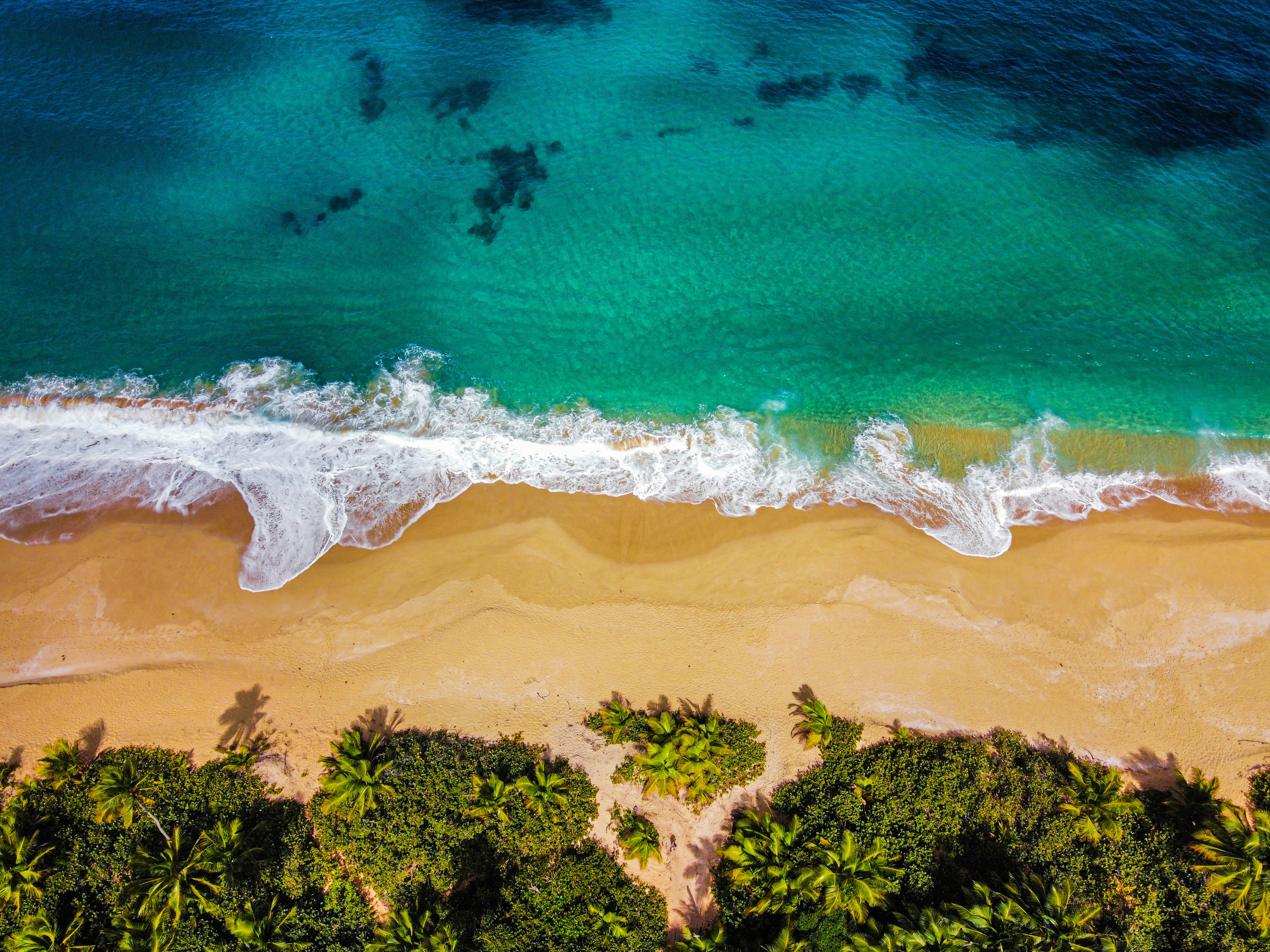 Photo by elojoboricua